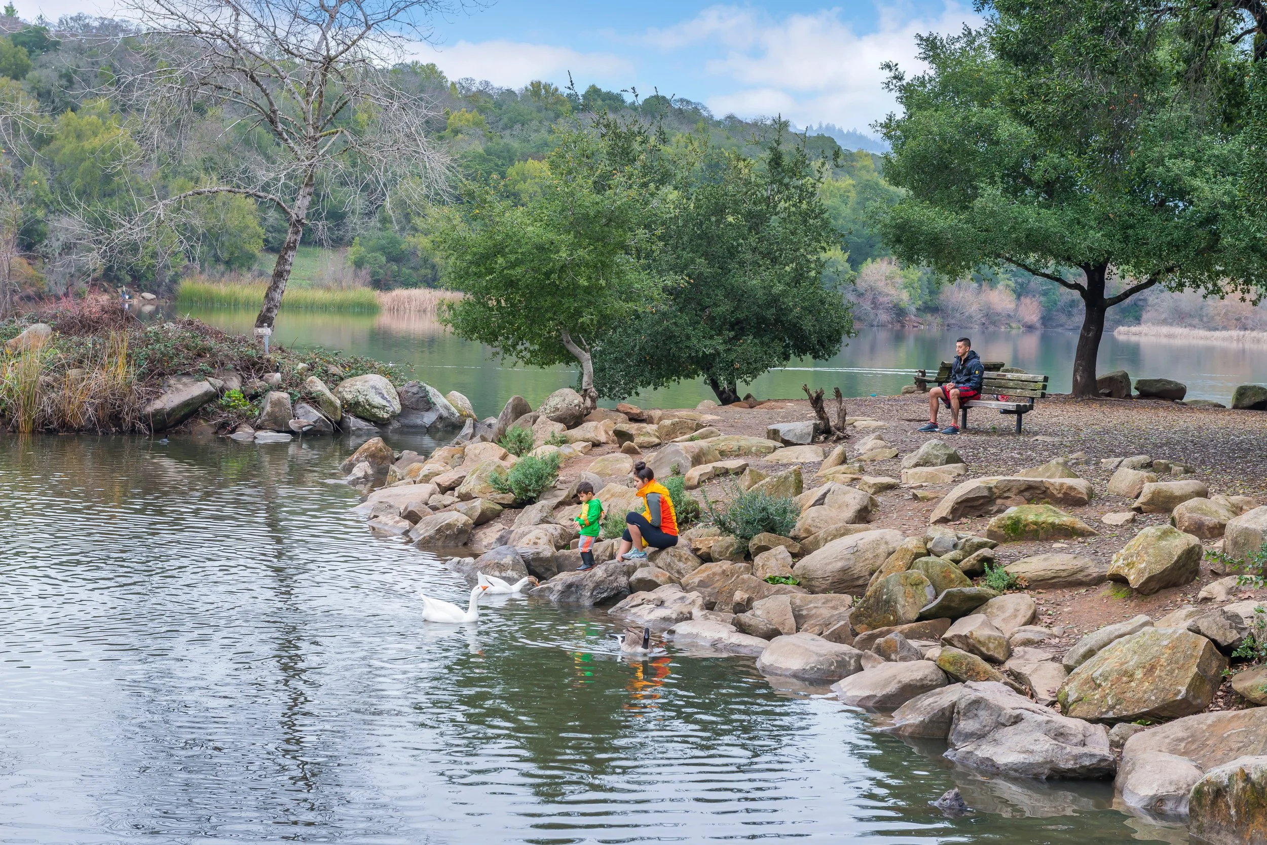 A lakeside scene with trees, rocks, and two white swans. People are sitting on rocks near the water, including a man on a bench and children playing near the water. The background shows a green hillside and cloudy sky.