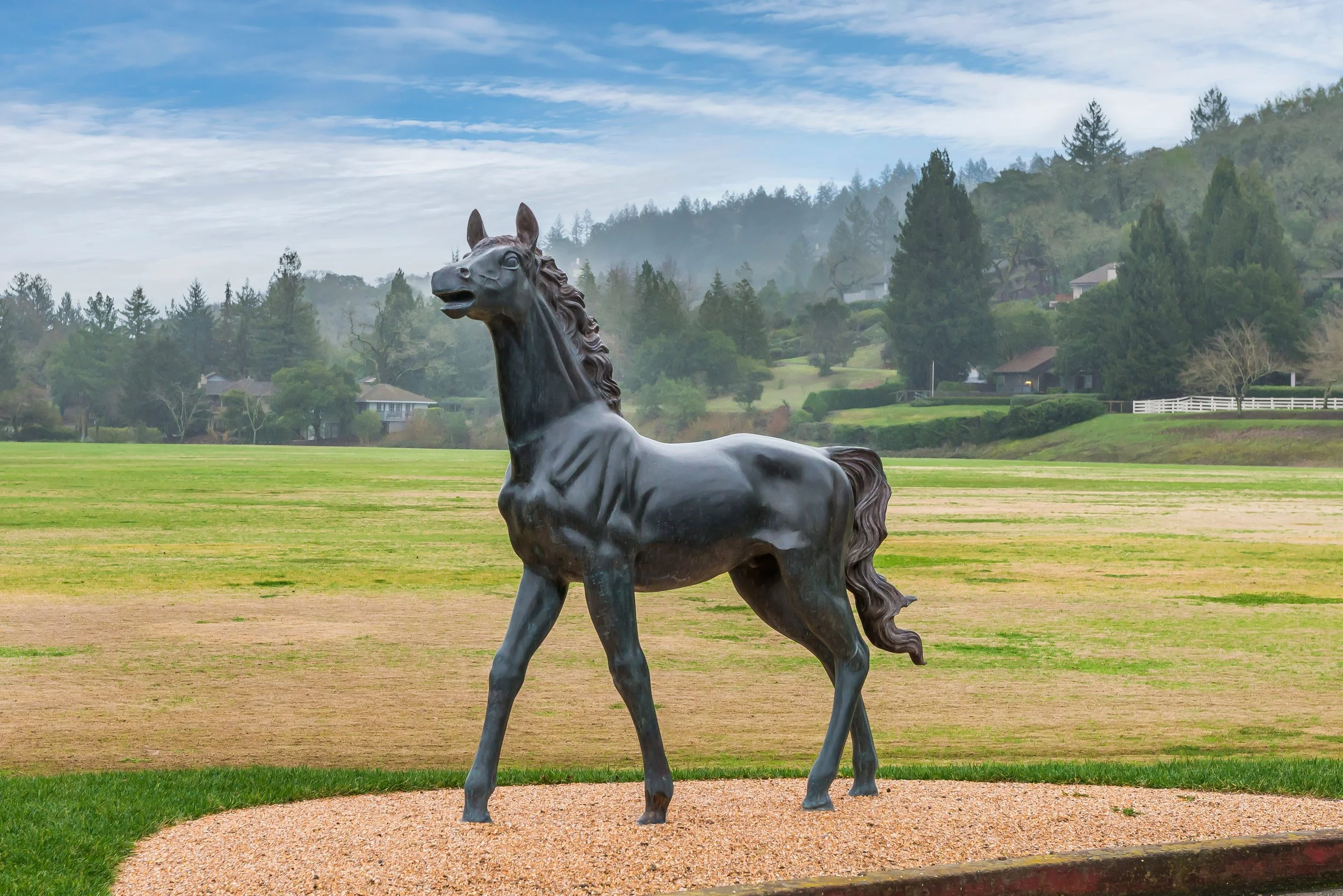 A bronze statue of a horse on a dirt circle in a park with green grass, trees, houses, and a hill in the background under a partly cloudy sky.