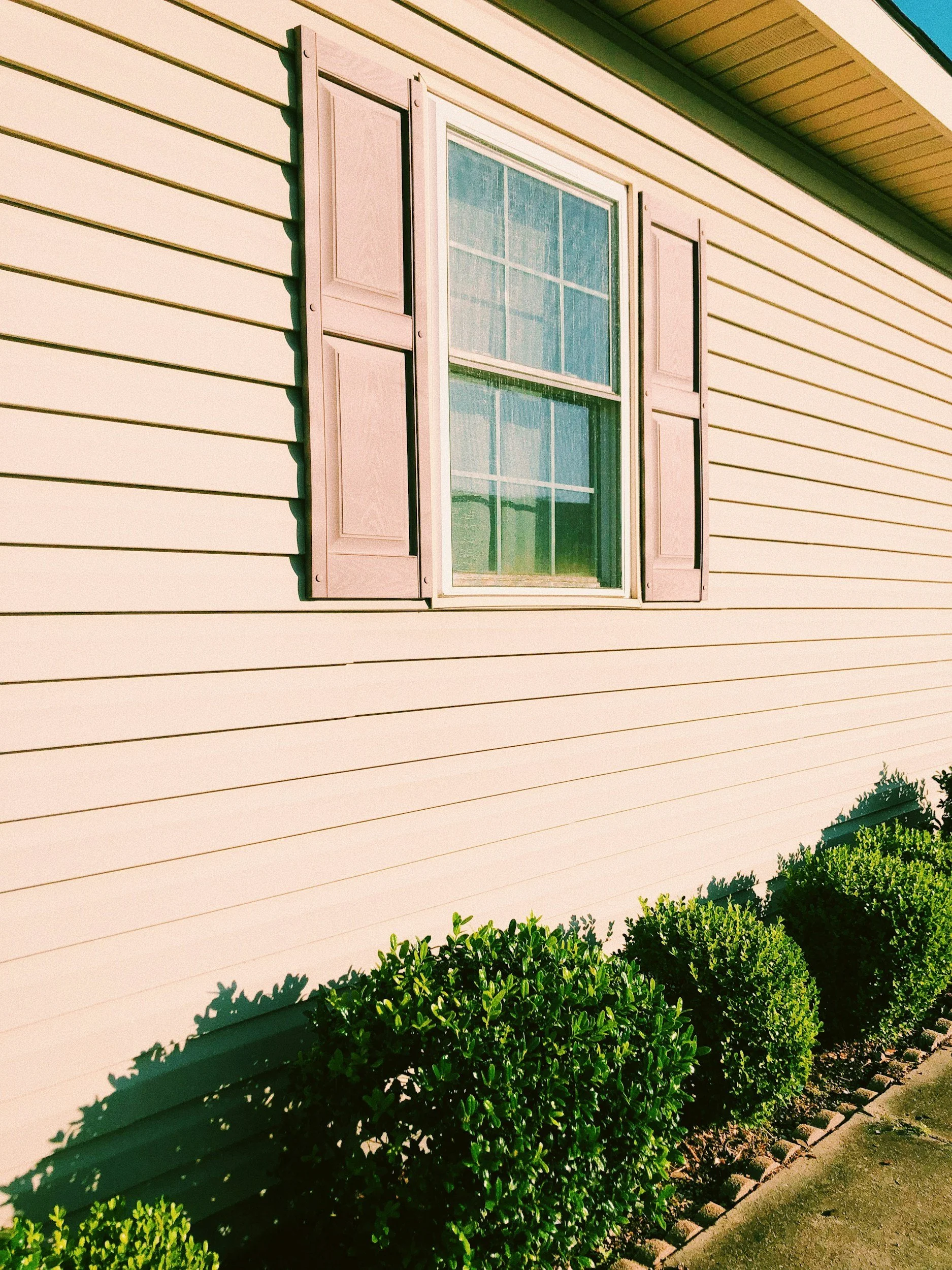 The image shows a beige house exterior wall with horizontal siding, a window with pink shutters, and green bushes with shadows in front.