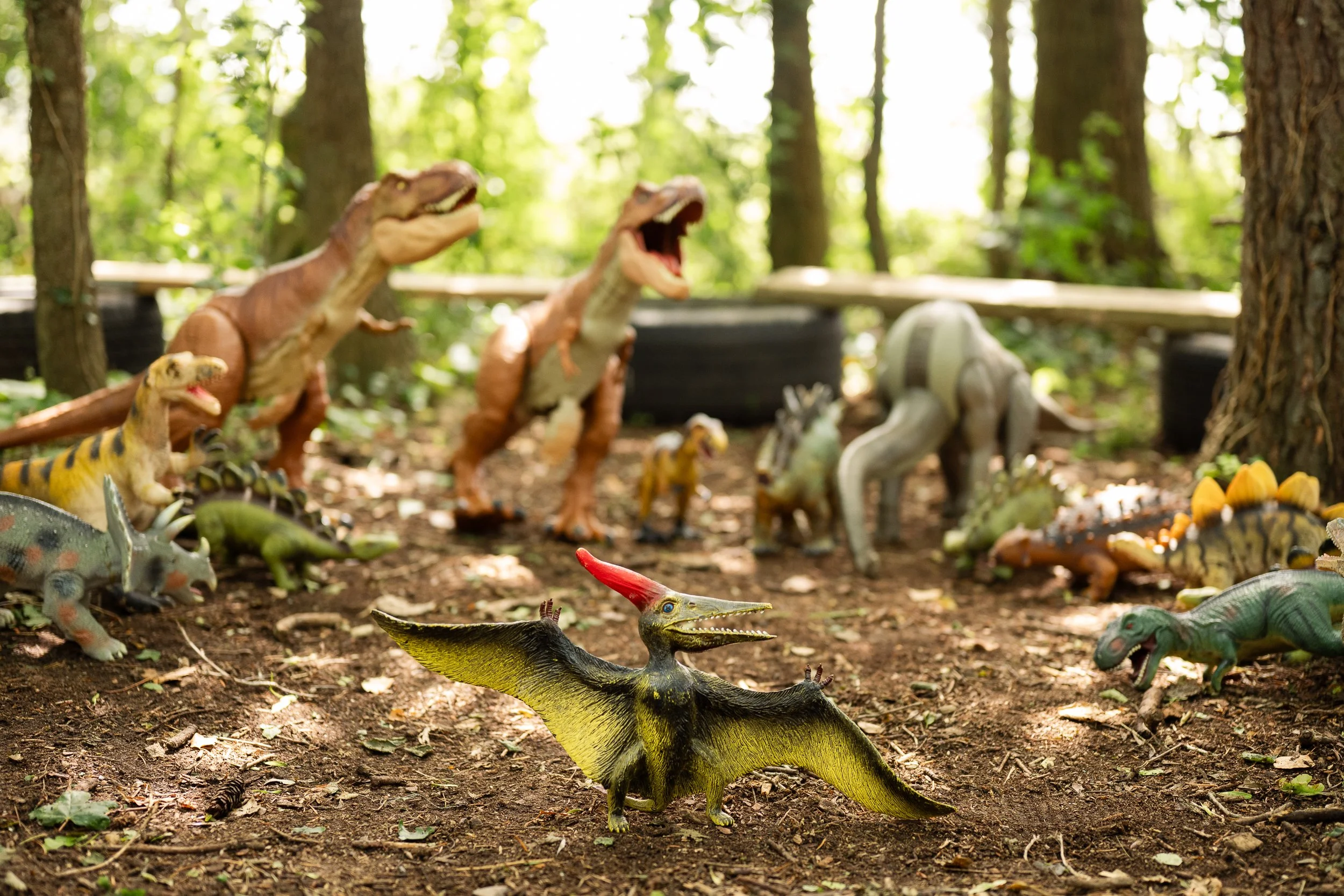 dinosaurs in a circle at tewkesbury stay and play