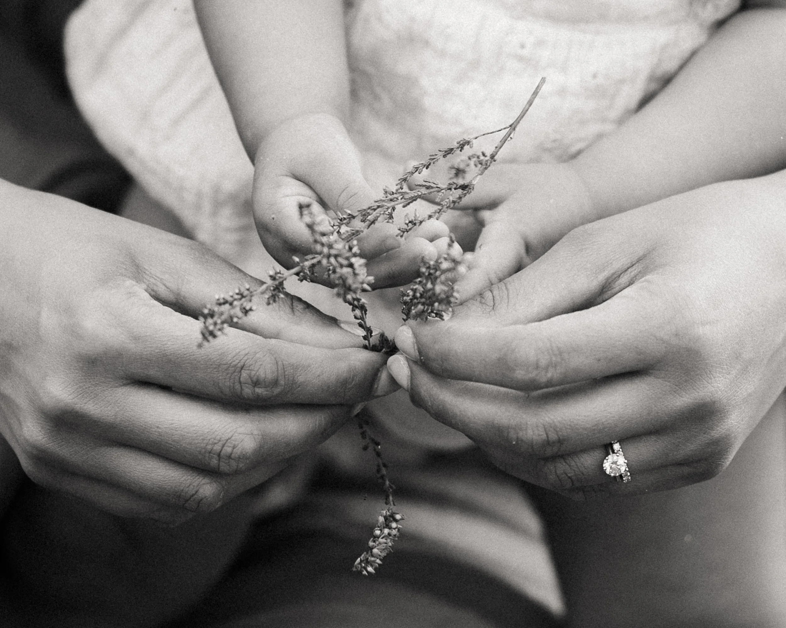 toddler and mum holding heather during a family photoshoot in worcester, worcestershire, UK