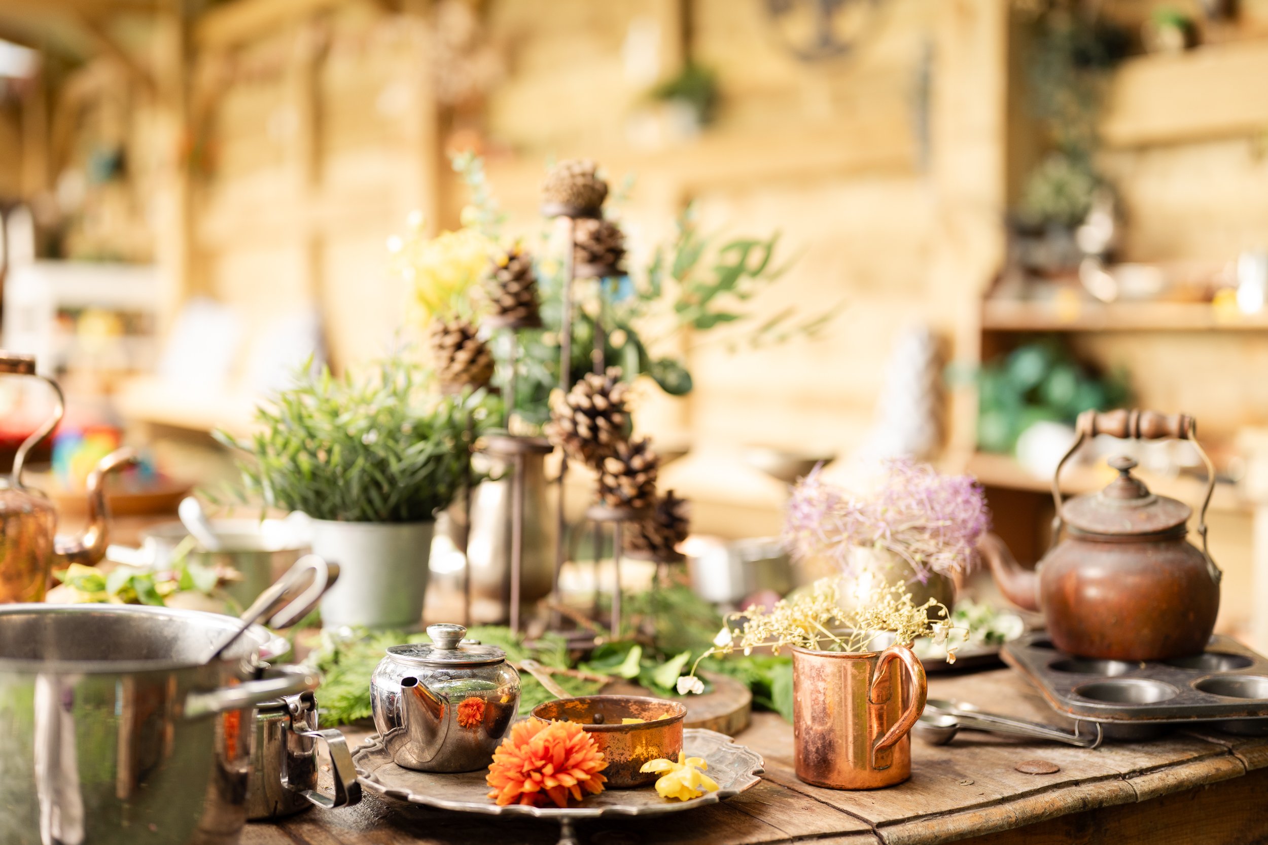 flowers and potion making setup at stay and play Hoppity poppies in Tewksbury taken during family photoshoot by Chloe Bower Photography