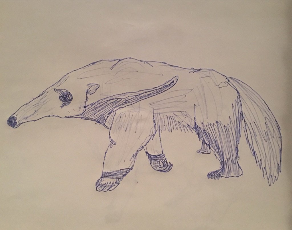 Copy of Drawing (2).jpeg