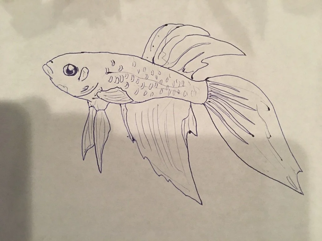 Copy of Drawing_Age15 (7).jpeg