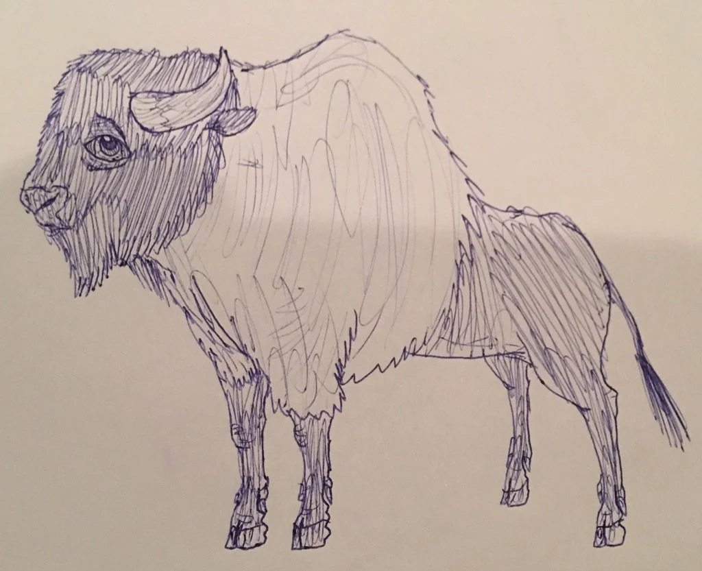 Copy of Drawing_Age15 (2).jpeg