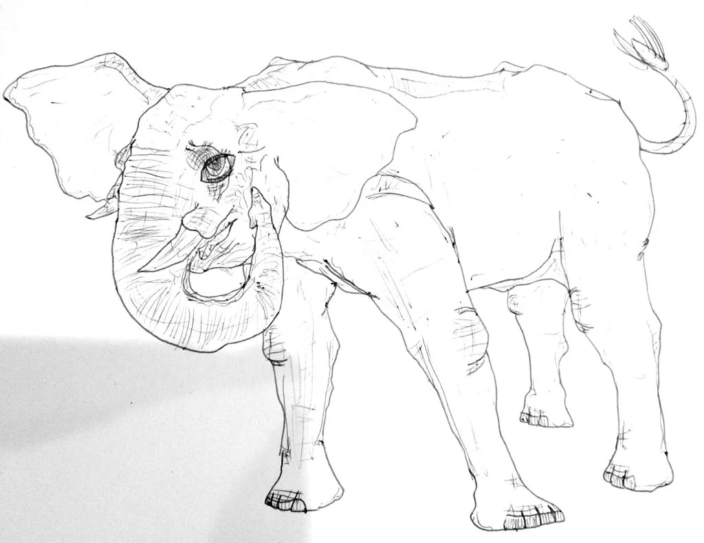 Copy of Drawing_Age14 (2).jpeg