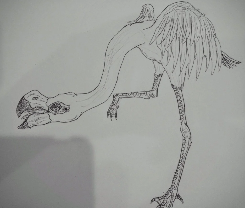 Copy of Drawing_Age14 (1).jpeg
