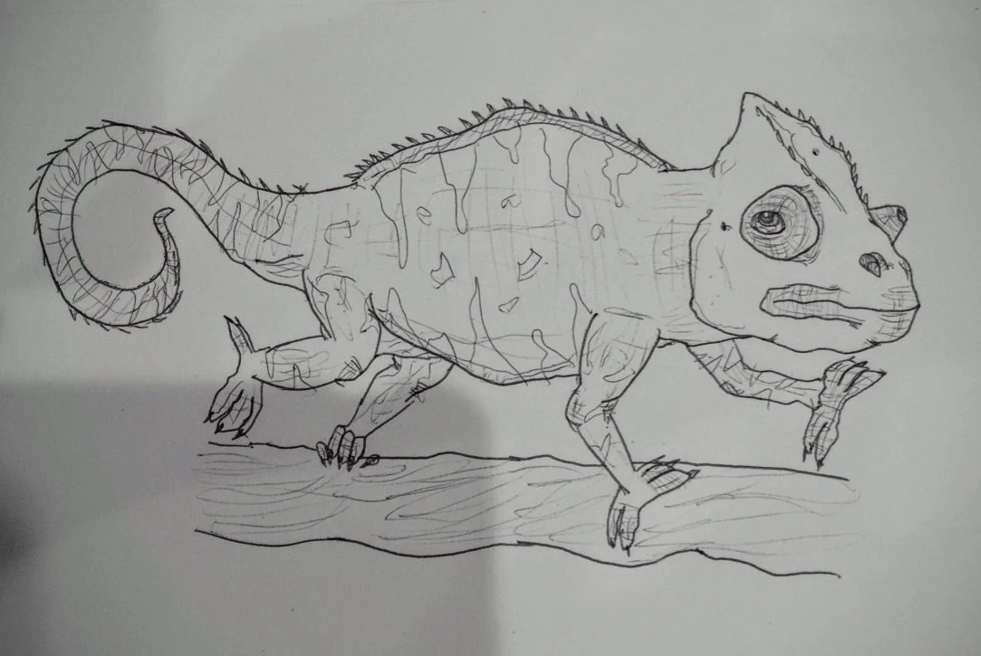Copy of Drawing_Age14.jpeg