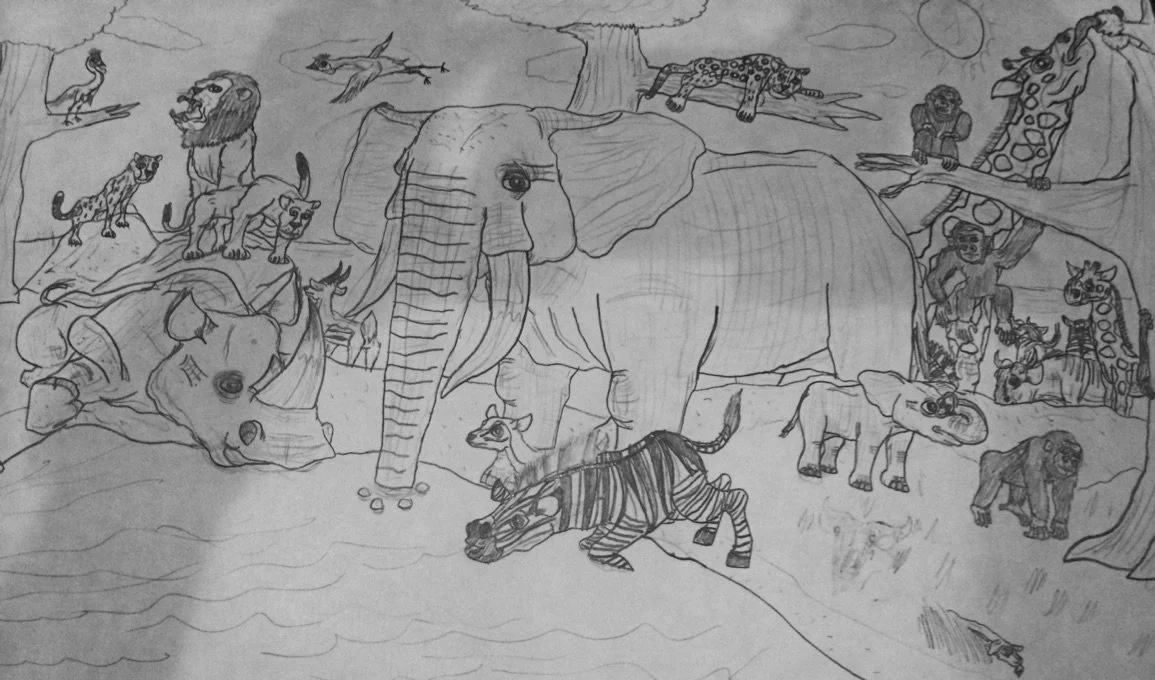 Copy of Drawing_Age13 (2).jpeg