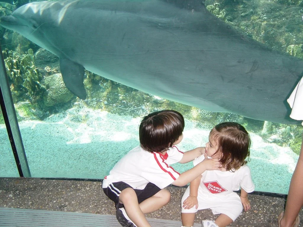 Copy of August 2005_Seaworld.jpeg