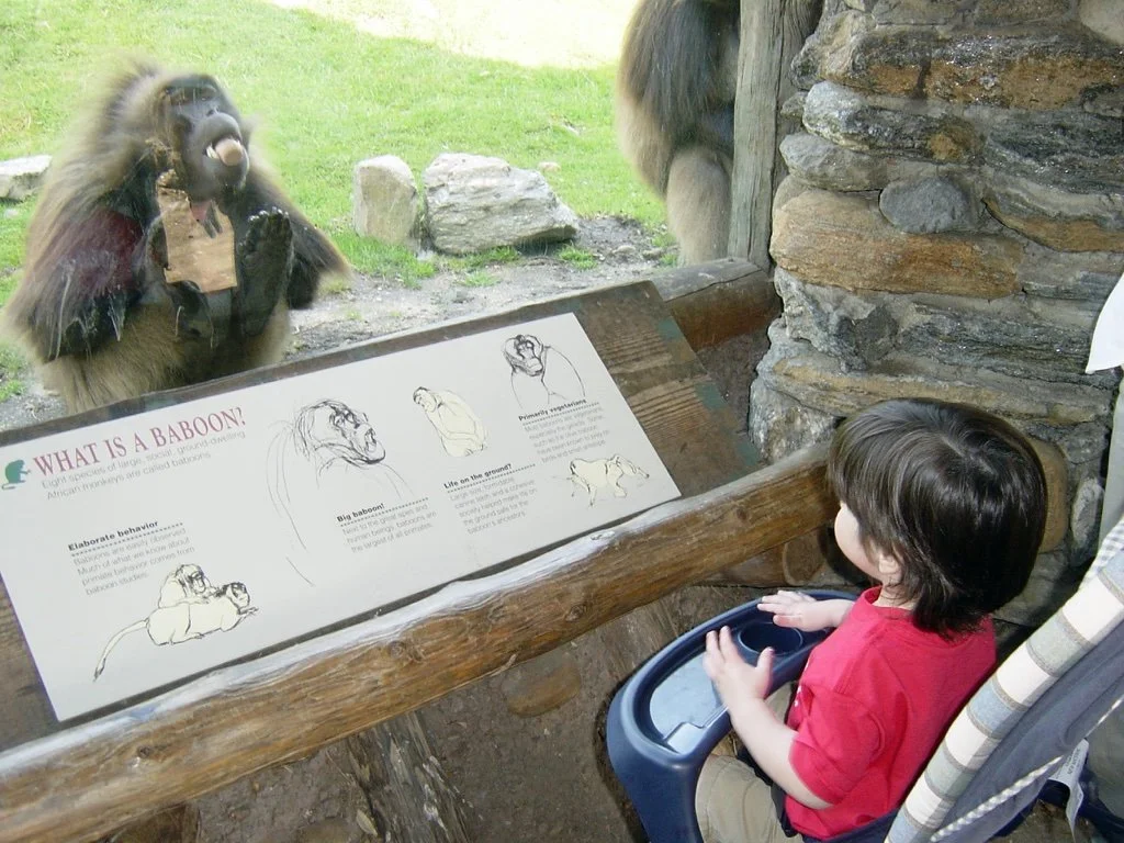 Copy of August 2004_BronxZoo.jpeg