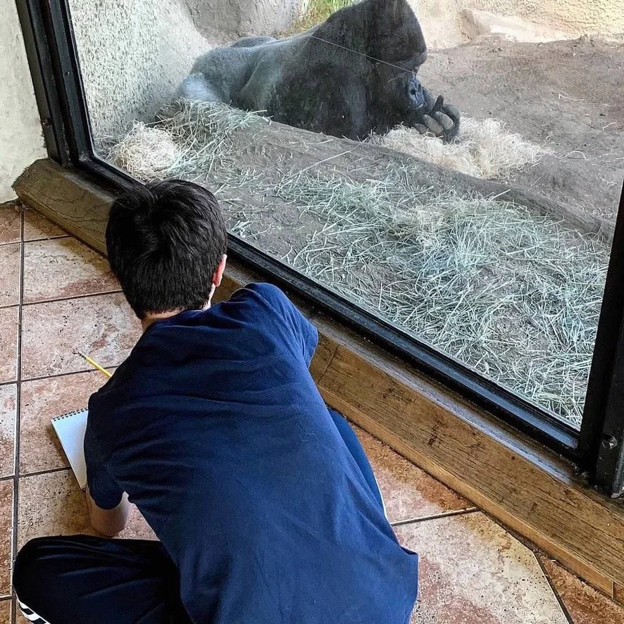 2017 Denver Zoo.jpeg