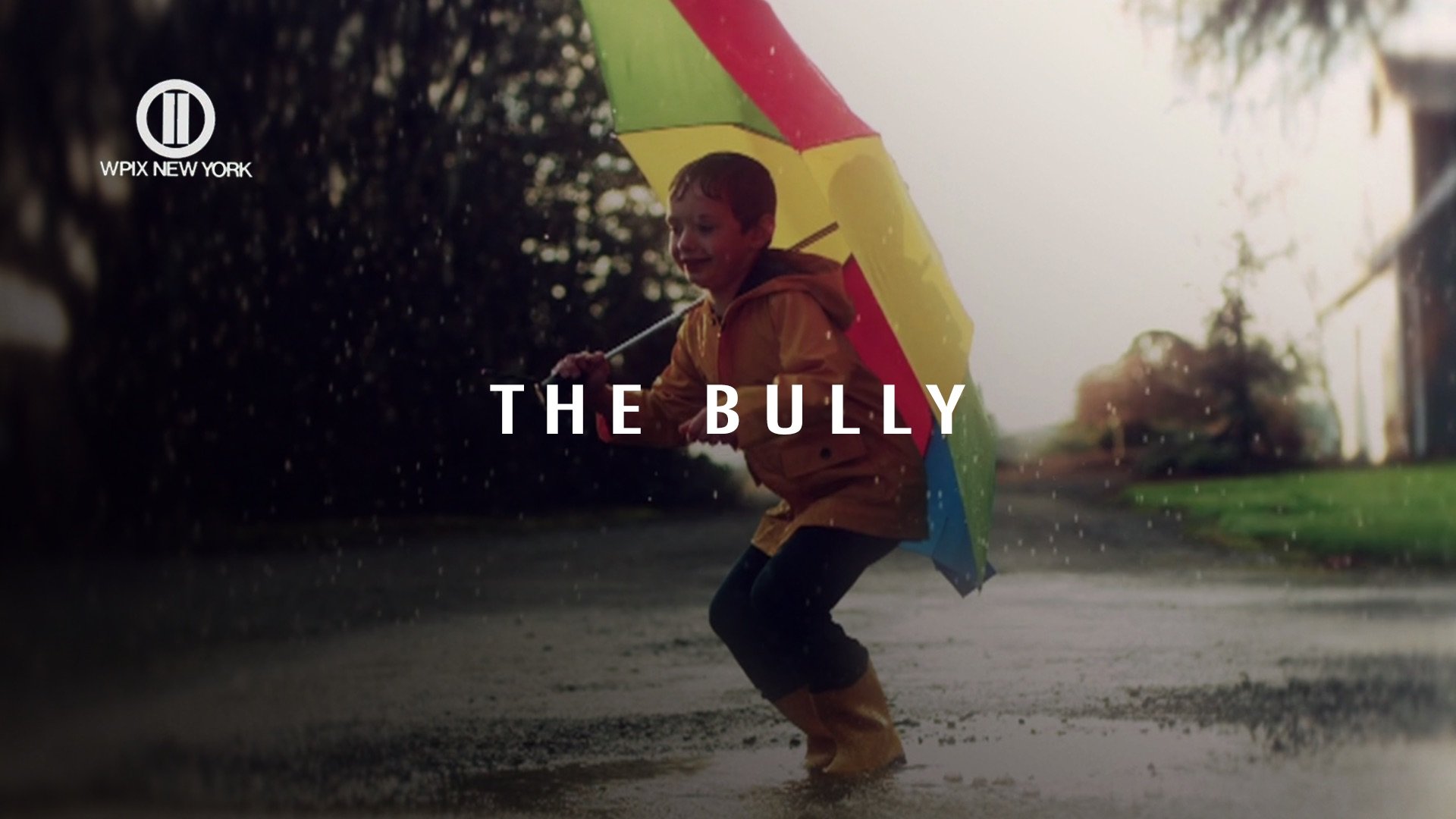  Commercials The Bully: Director, Editor.
