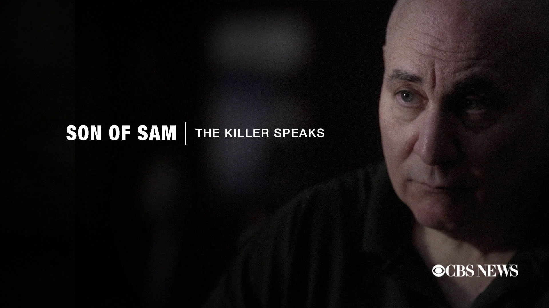  Docs  Son of Sam: Director, Editor.