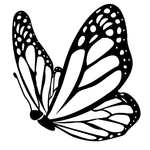 Outline drawing of a butterfly with detailed wing patterns.