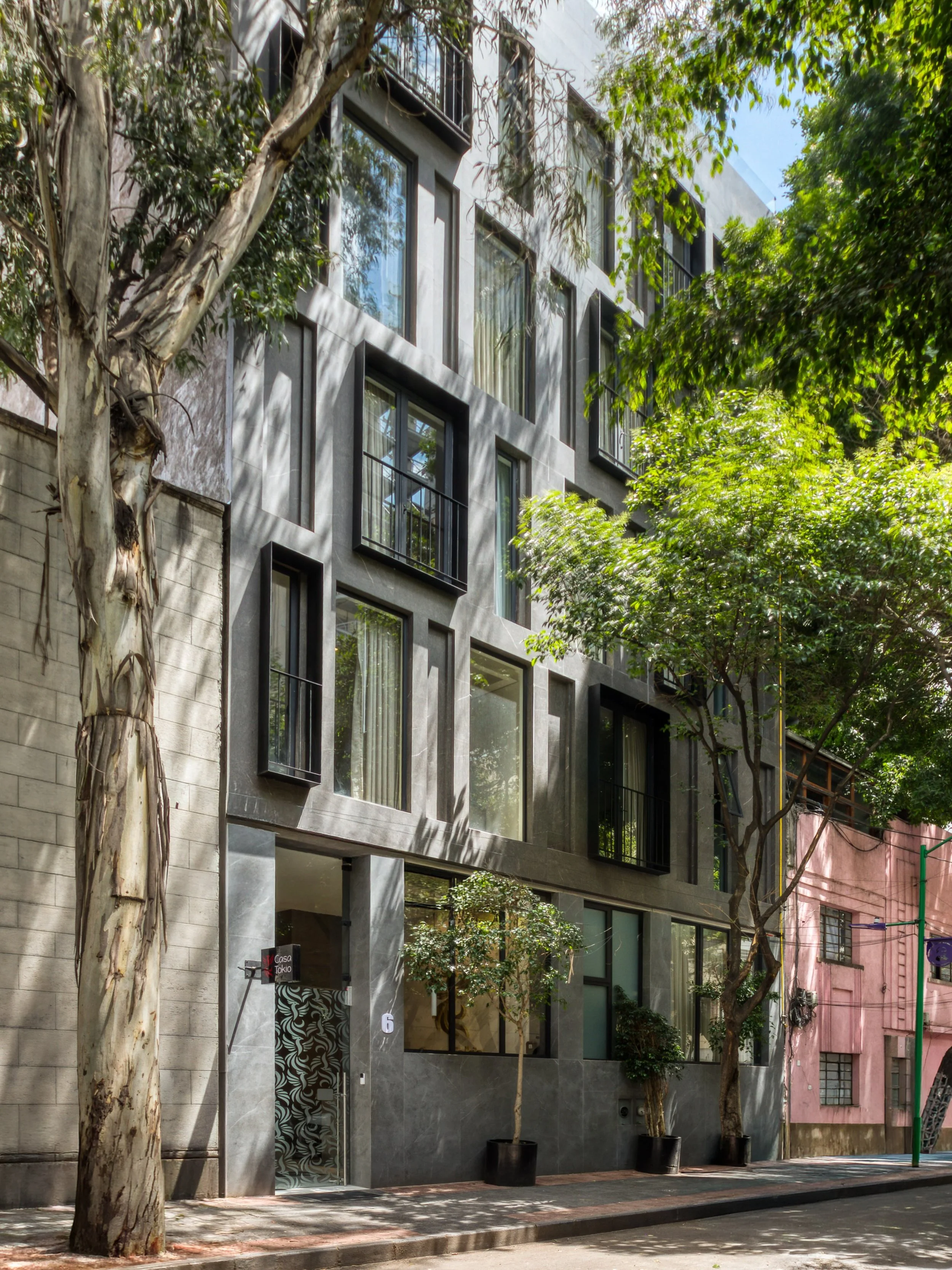 Entre &aacute;rboles, calles con historia y la energ&iacute;a de la ciudad. Aqu&iacute; est&aacute; Casa Tokio❤️🌱

Visita nuestra p&aacute;gina web para conocer nuestras habitaciones: www.casatokio.com.mx