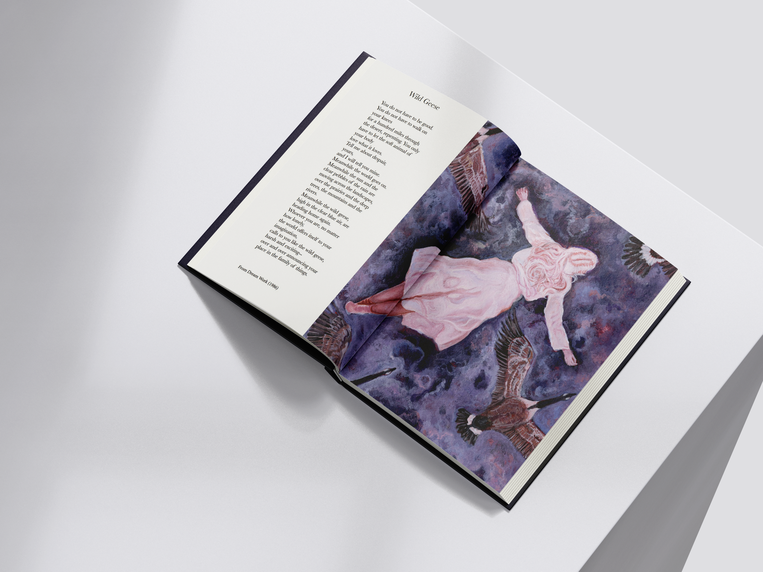 "Birds" a speculative anthology of illustrated Mary Oliver poetry with birds as the focus.

"Wild Geese" - The first of three illustrated poems, painted in egg tempera.
