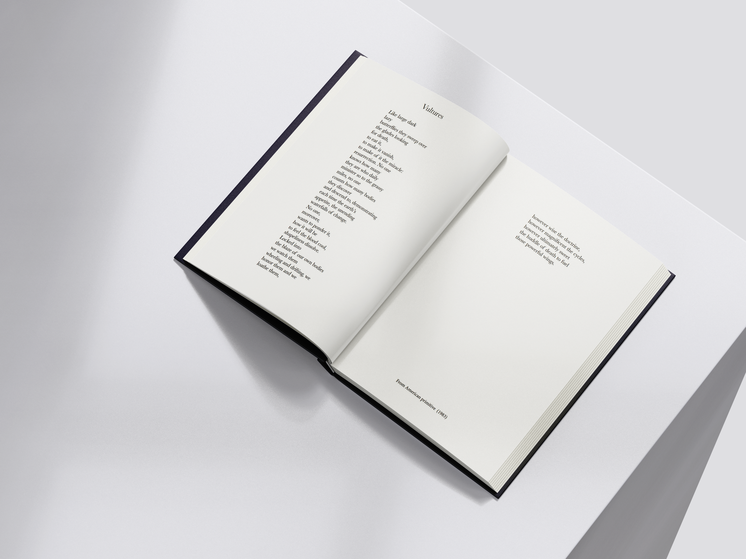 "Birds" a speculative anthology of illustrated Mary Oliver poetry with birds as the focus.

"Vultures "  - Text Layout