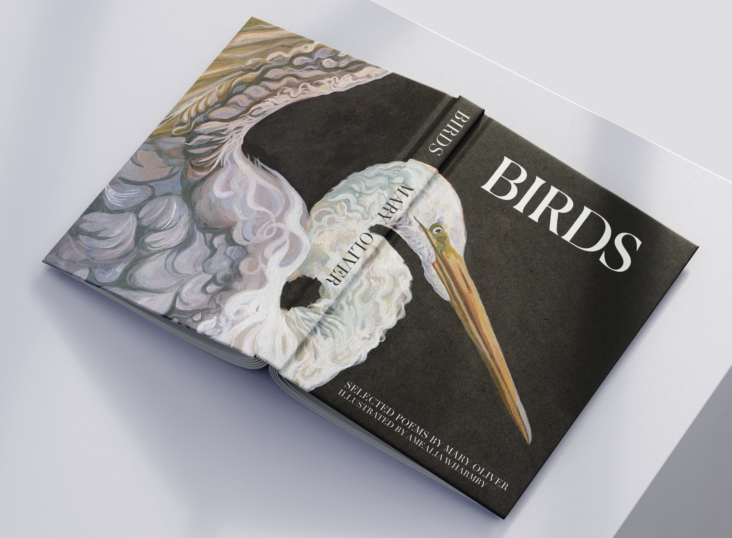 "Birds" Is a speculative anthology of illustrated Mary Oliver poetry with birds as the focus. 
All images are painted with egg tempera 