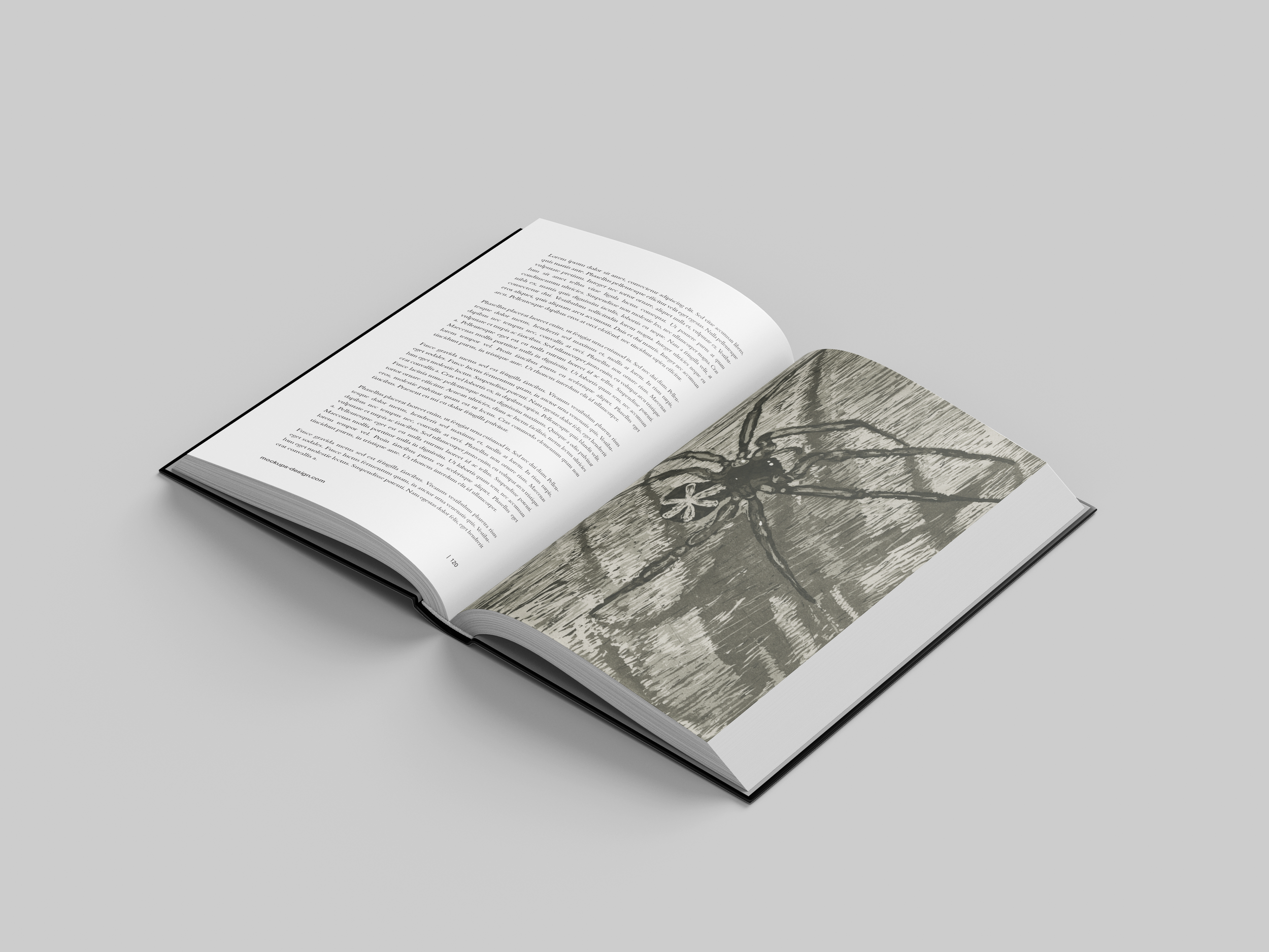  Arachne is a narrative project with the focus on the printing process using etching and aquatint and sequential storytelling through limited images, created to be read alongside the text by Ted Hughes.
