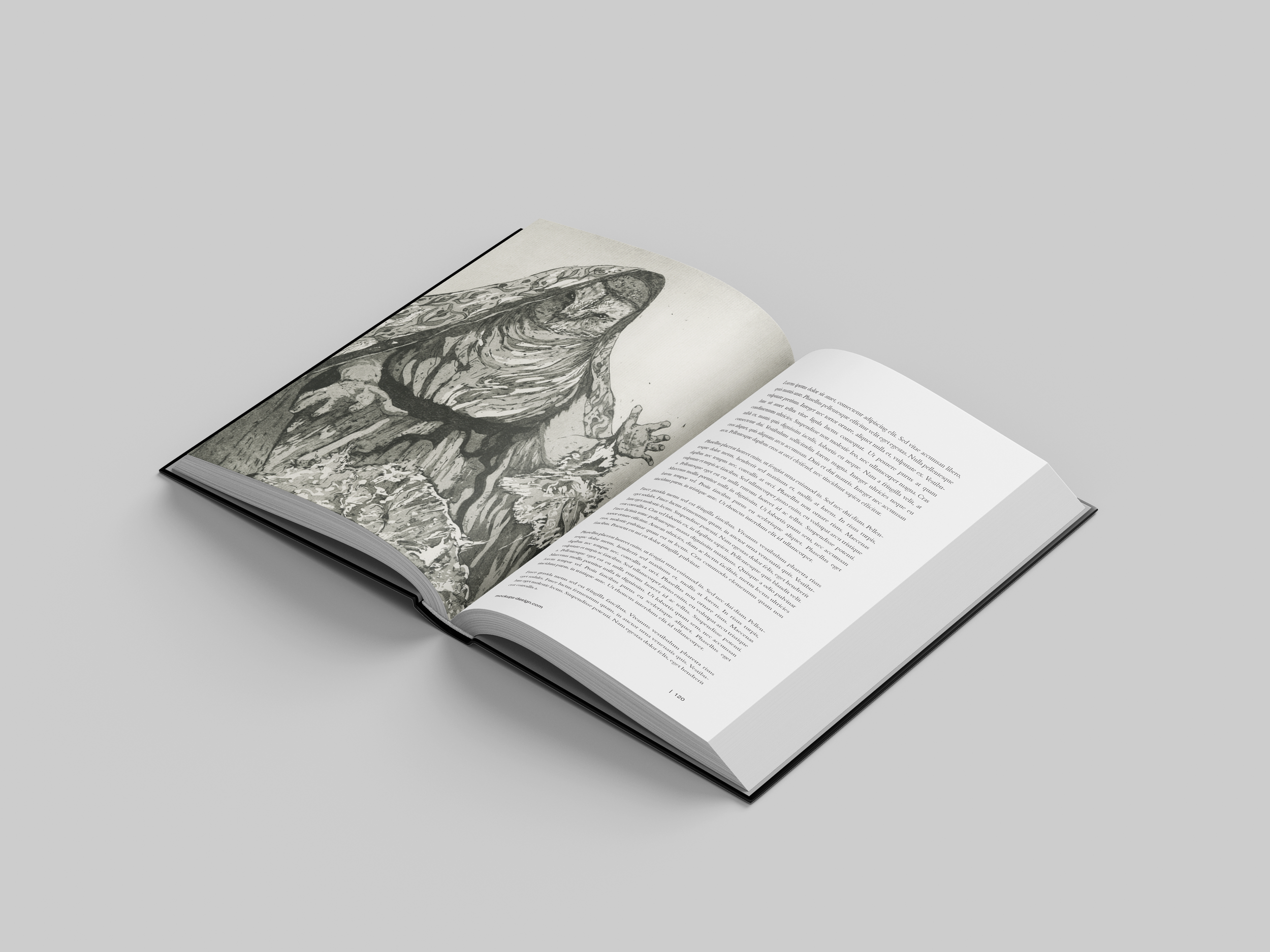  Arachne is a narrative project with the focus on the printing process using etching and aquatint and sequential storytelling through limited images, created to be read alongside the text by Ted Hughes.