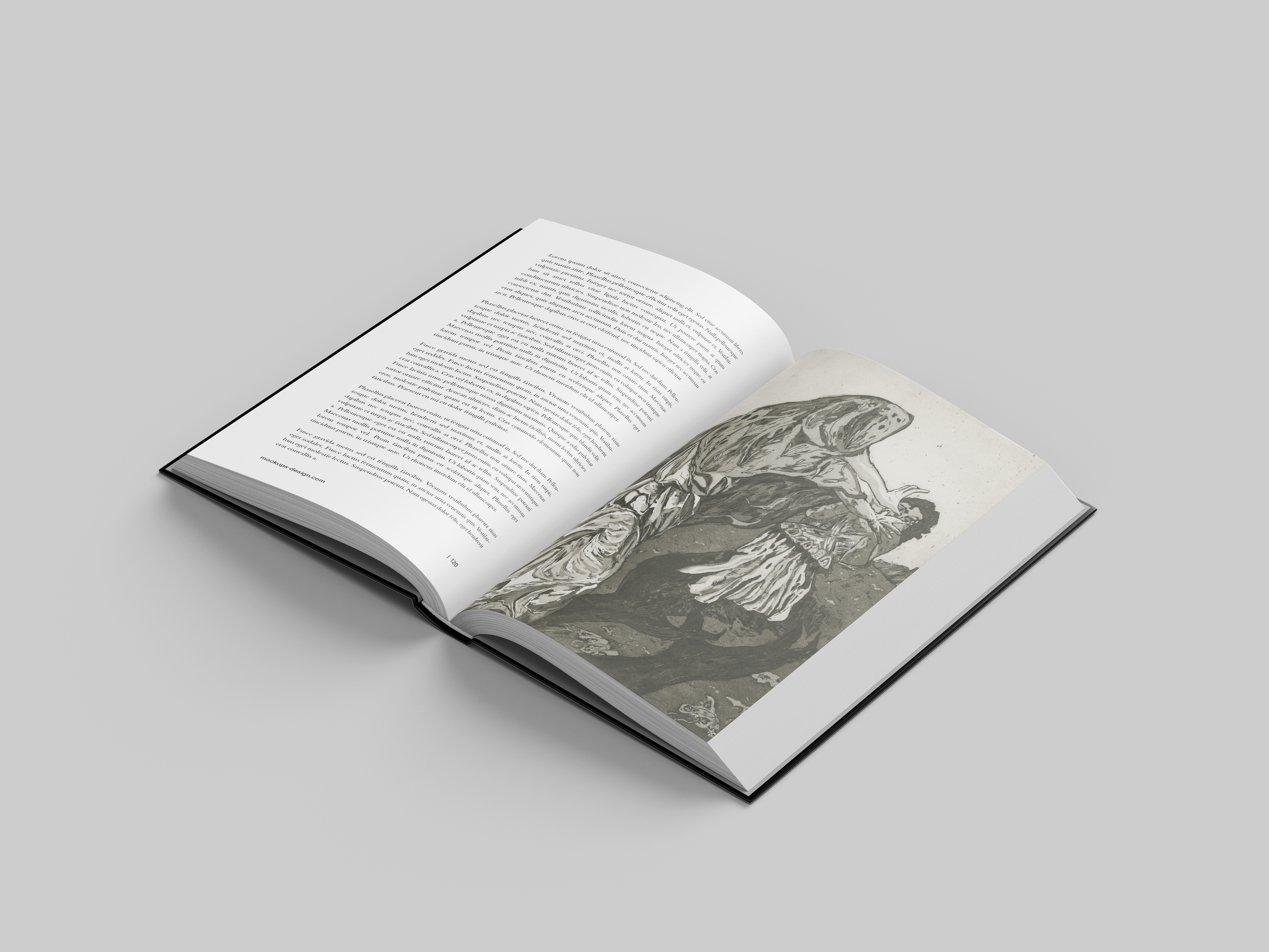  Arachne is a narrative project with the focus on the printing process using etching and aquatint and sequential storytelling through limited images, created to be read alongside the text by Ted Hughes.