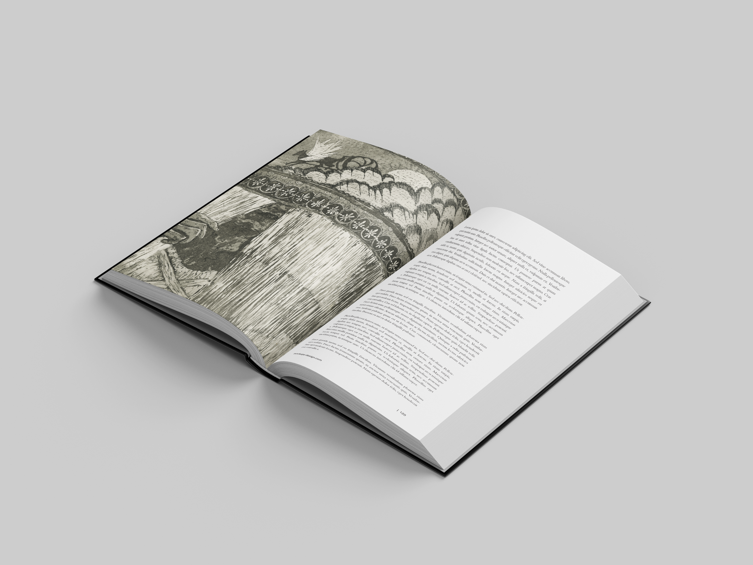  Arachne is a narrative project with the focus on the printing process using etching and aquatint and sequential storytelling through limited images, created to be read alongside the text by Ted Hughes.