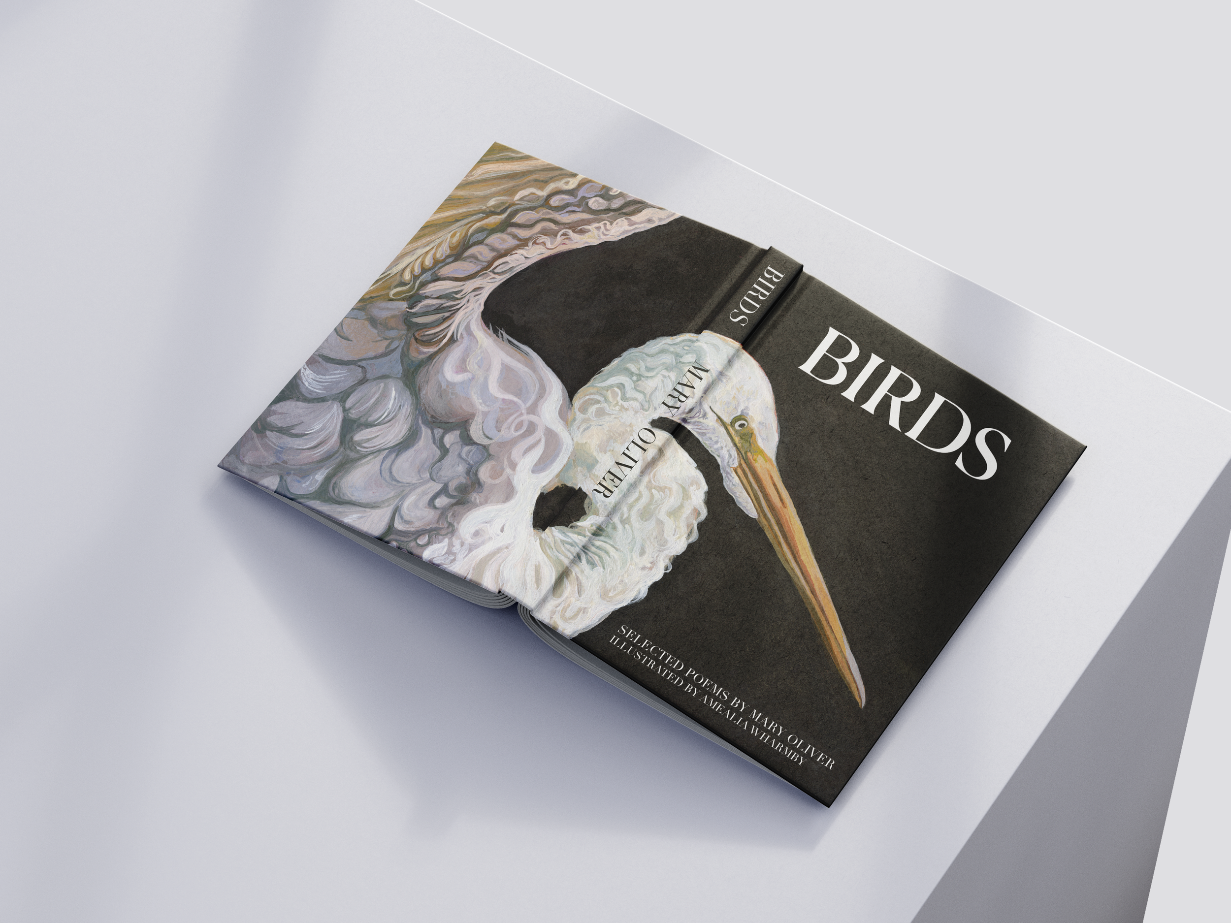 Book Covers and Publishing