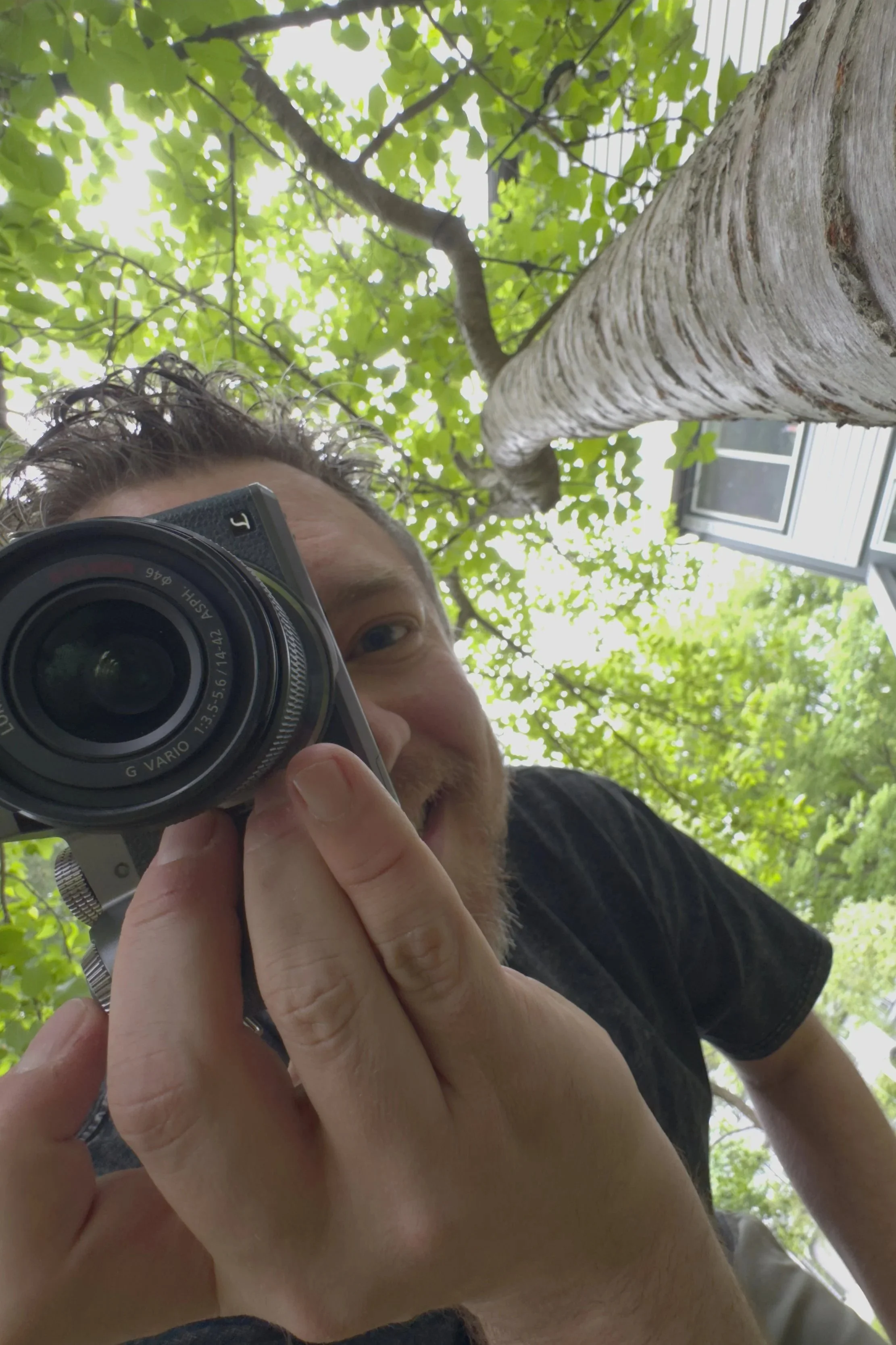 A person with short hair and a beard takes a photo with a camera, looking upward at a tree with green leaves and sunlight filtering through, outside a building with windows.