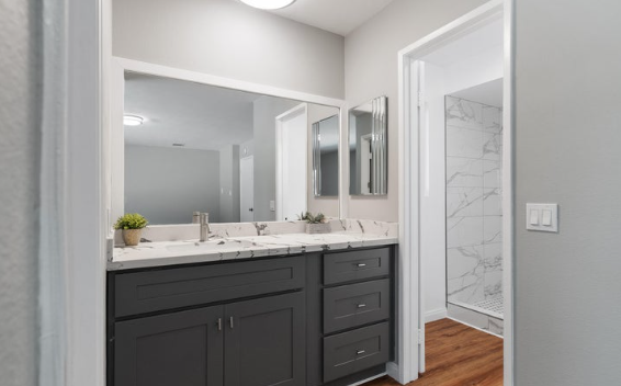 Modern bathroom with a double sink vanity, gray cabinets, and a marble countertop. There are small potted plants on the counter and a large mirror above. The bathroom door is open, revealing a tiled walk-in shower with marble walls.