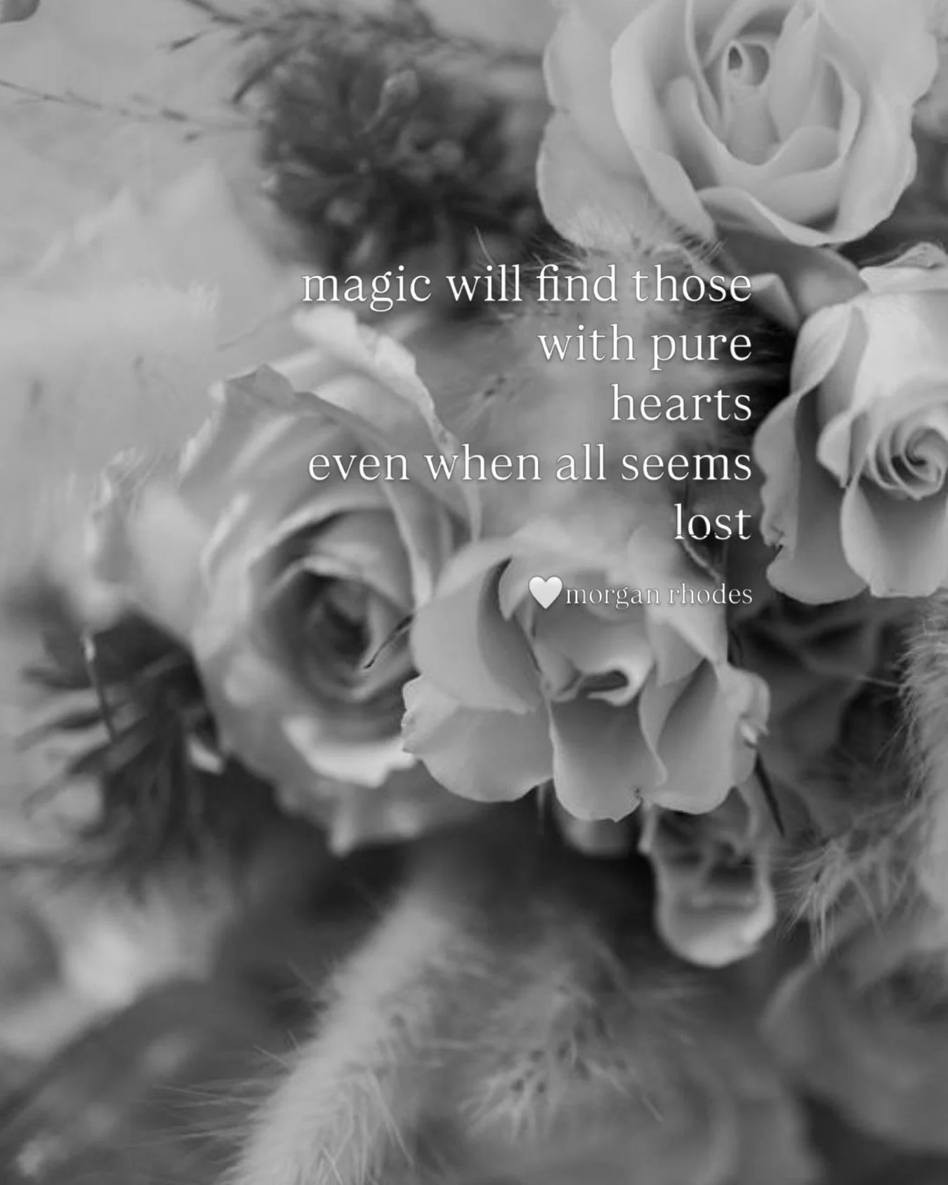 beauty and thorns

the rose represents the duality of life. the stark contrast between the soft, beautiful petals and the sharp, painful thorns serves as a reminder that love, success, and beauty often come with risks, challenges, and sacrifice

may 