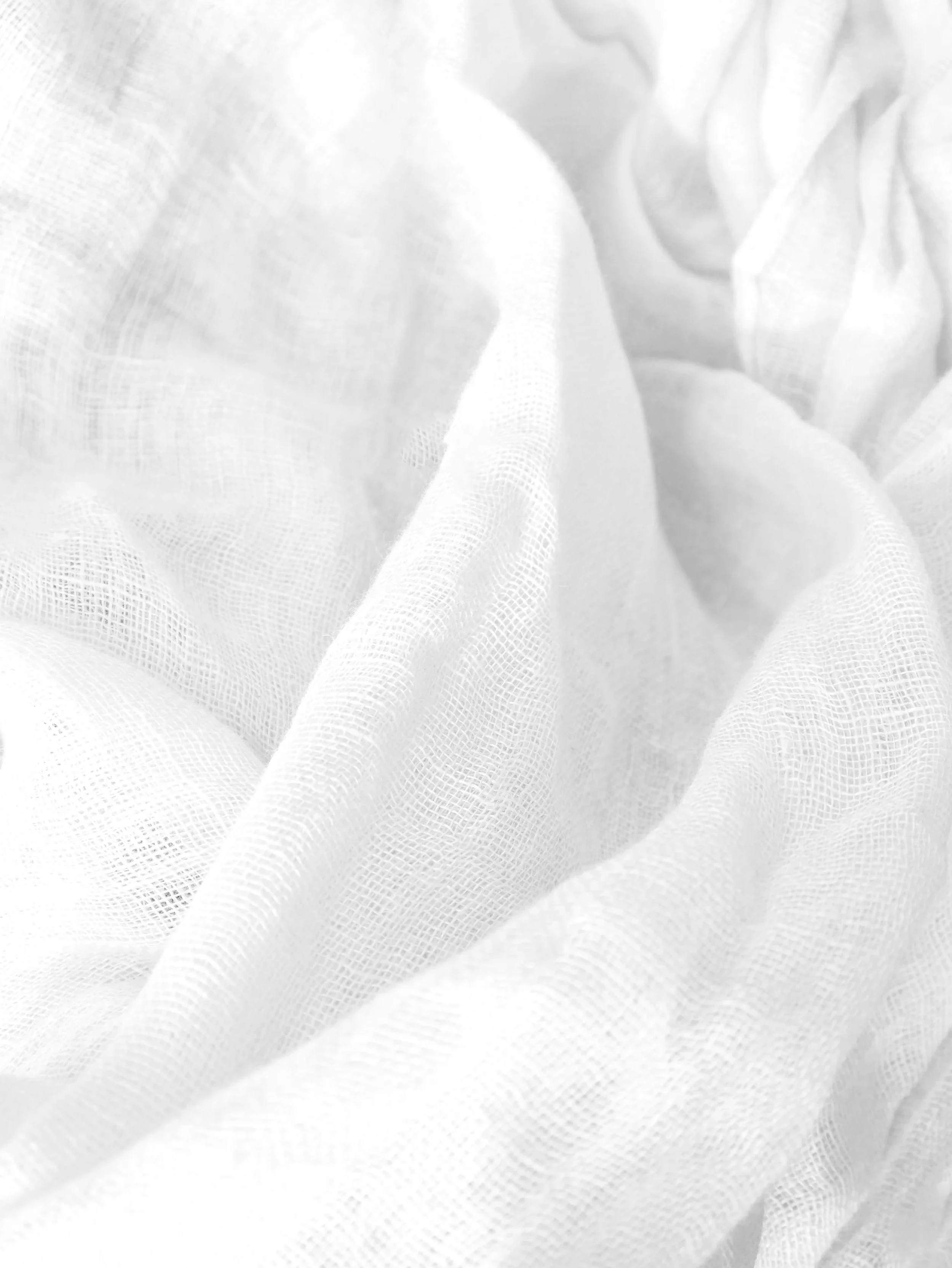 laura-guldner-z5gJemzuZ0k-unsplash.jpg