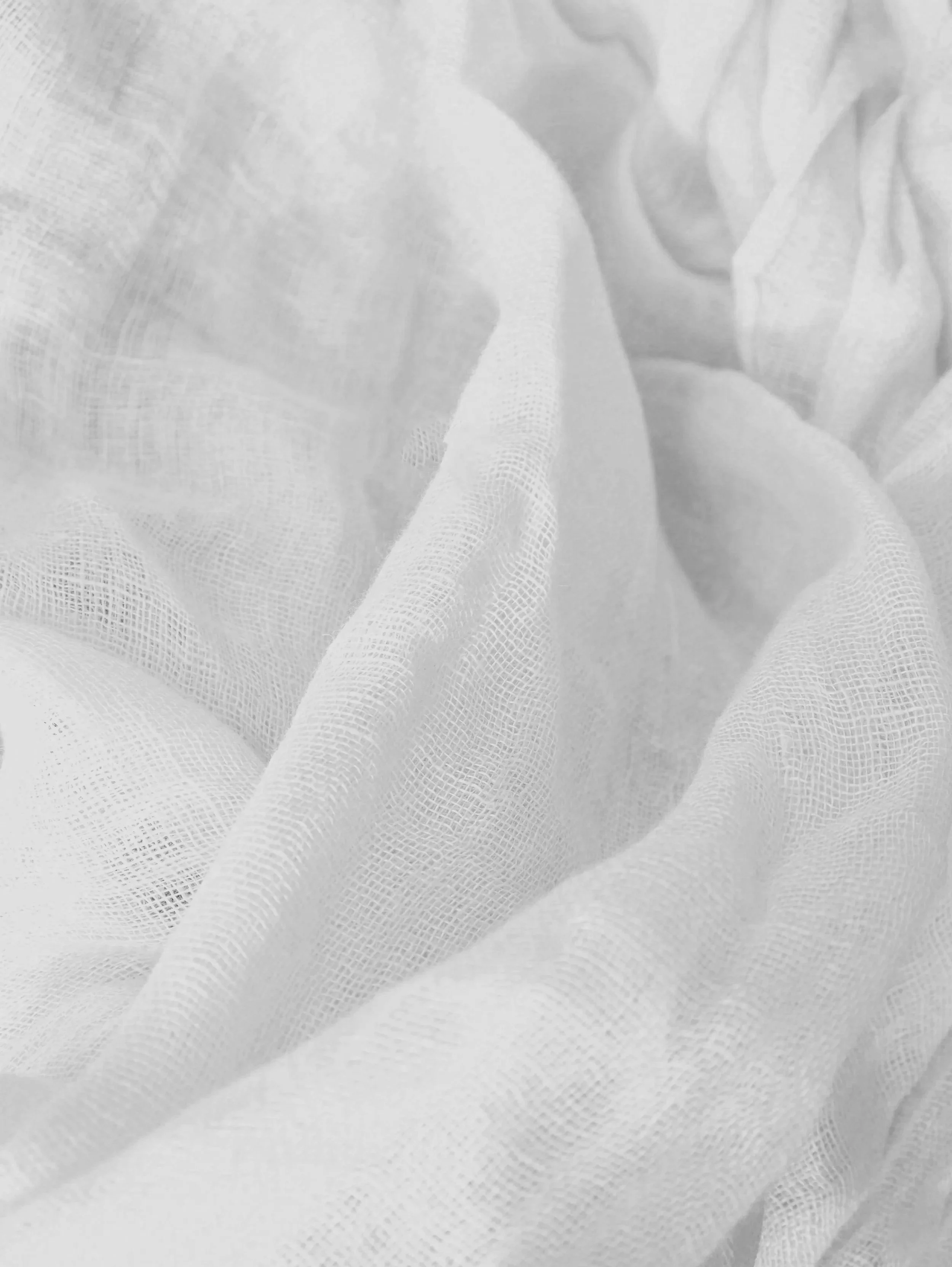 laura-guldner-z5gJemzuZ0k-unsplash.jpg