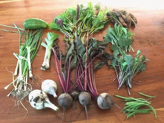 Healing Communities With Food: Stone Soup