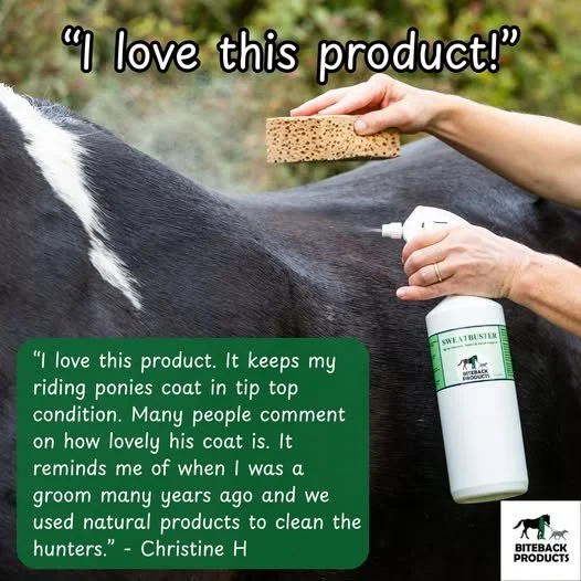 Sweatbuster testimonial 1.jpg