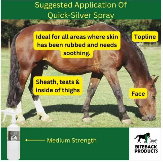 silver lotion uses.jpg