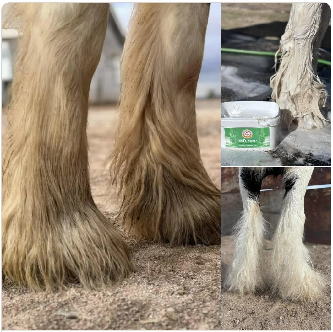 Why not all horse shampoos are created equal