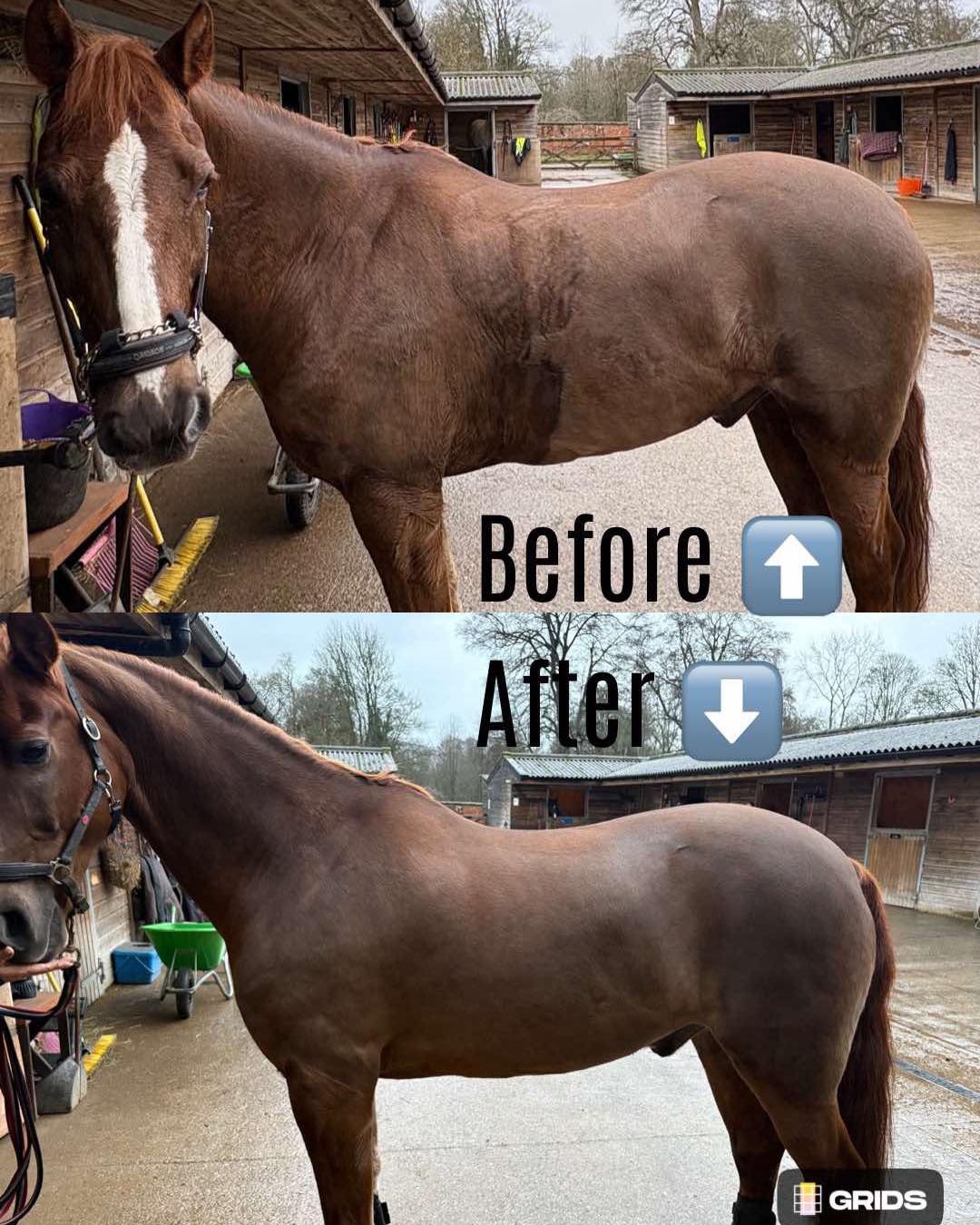 Sweatbuster before and after.jpg