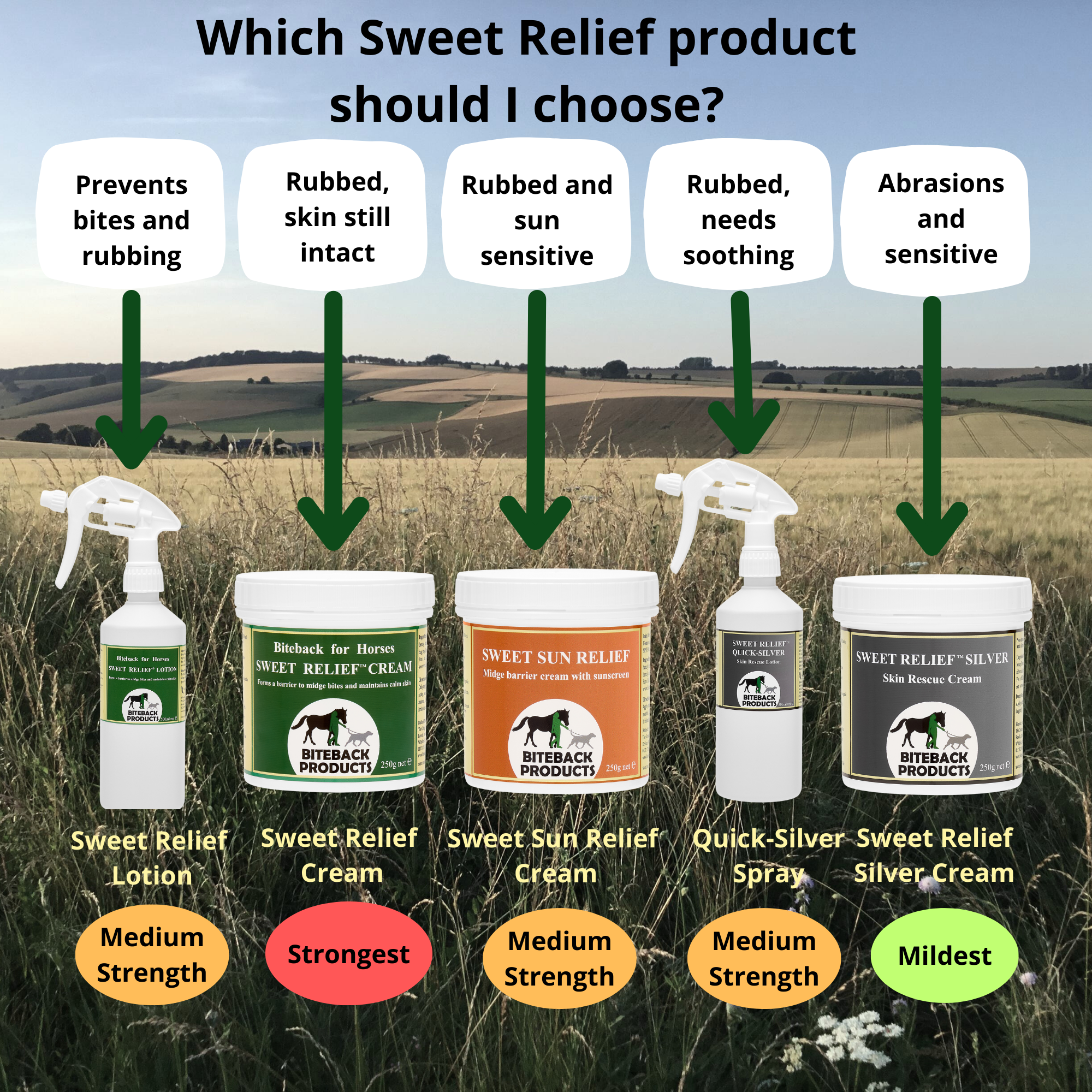 SWEET_RELIEF_PRODUCT_GUIDE_for_sweet_itch_in_horses.png