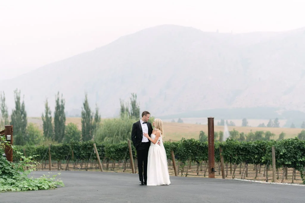 A newlywed couple in wedding attire standing in a vineyard with mountains in the background, holding hands and gazing at each other.