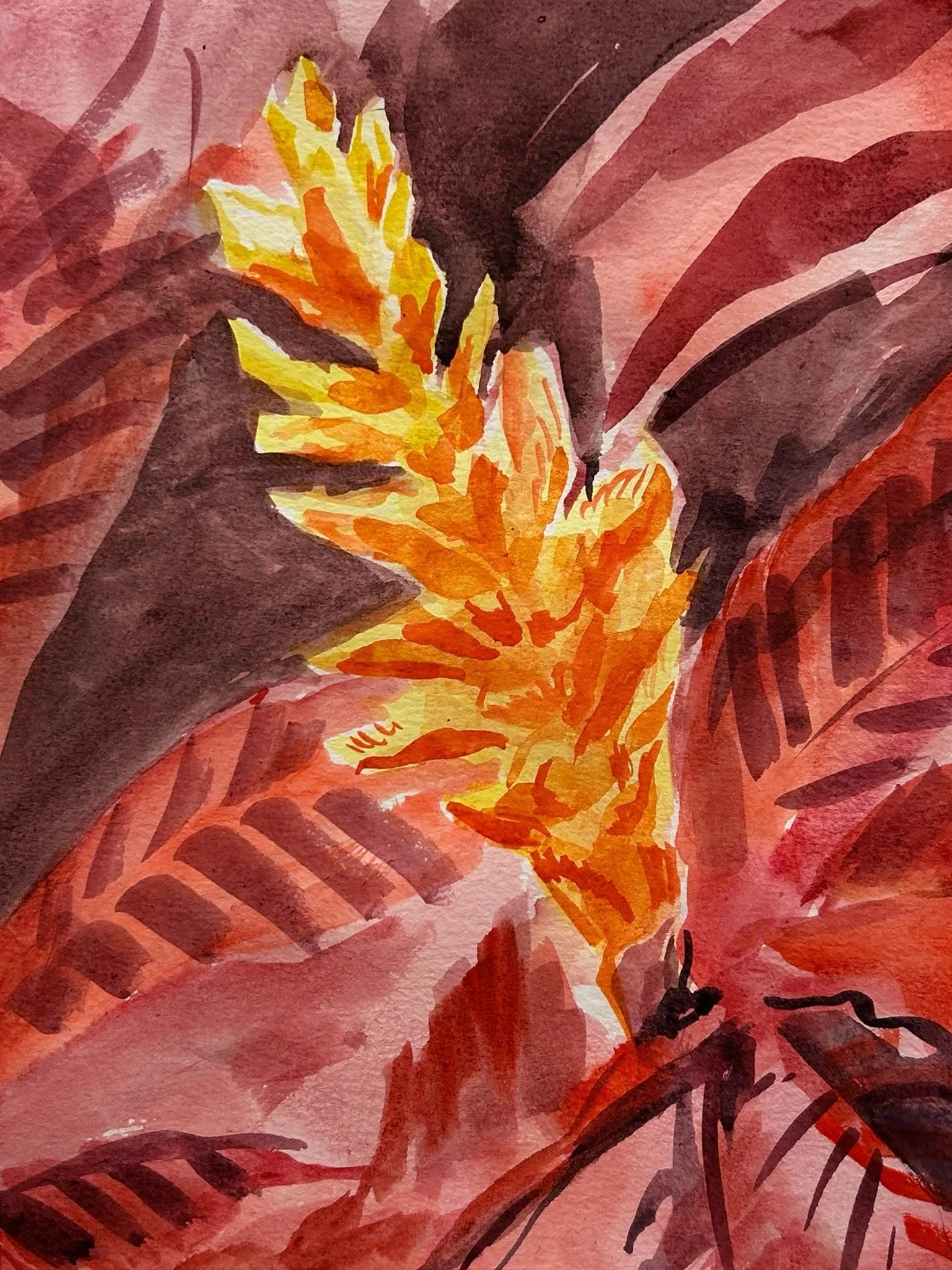 Red Ginger, Watercolor, 2025