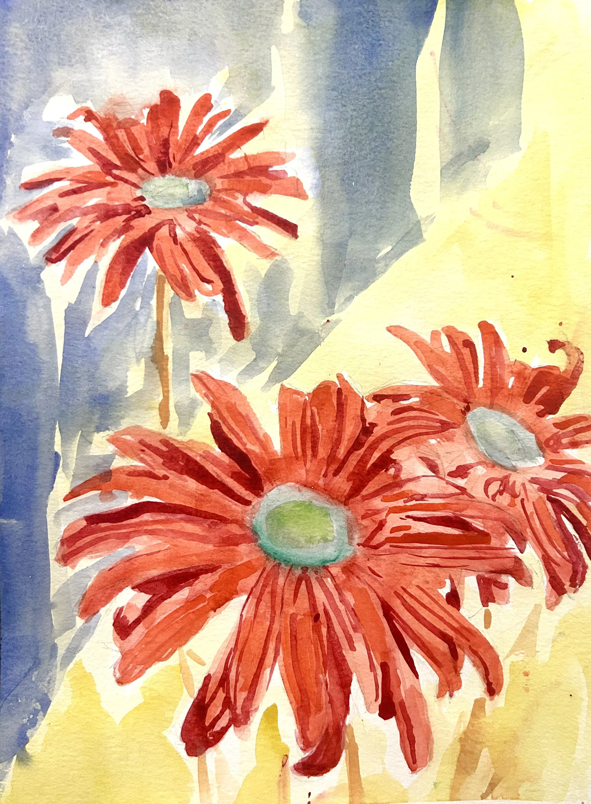Primary Daisies, Watercolor, 2025