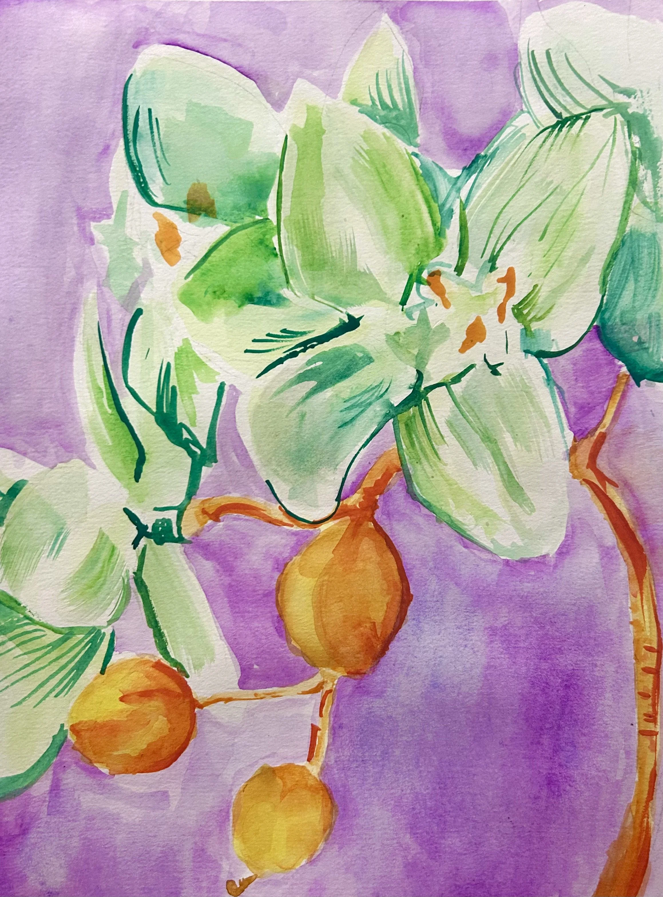 Green Orchid, Watercolor, 2025