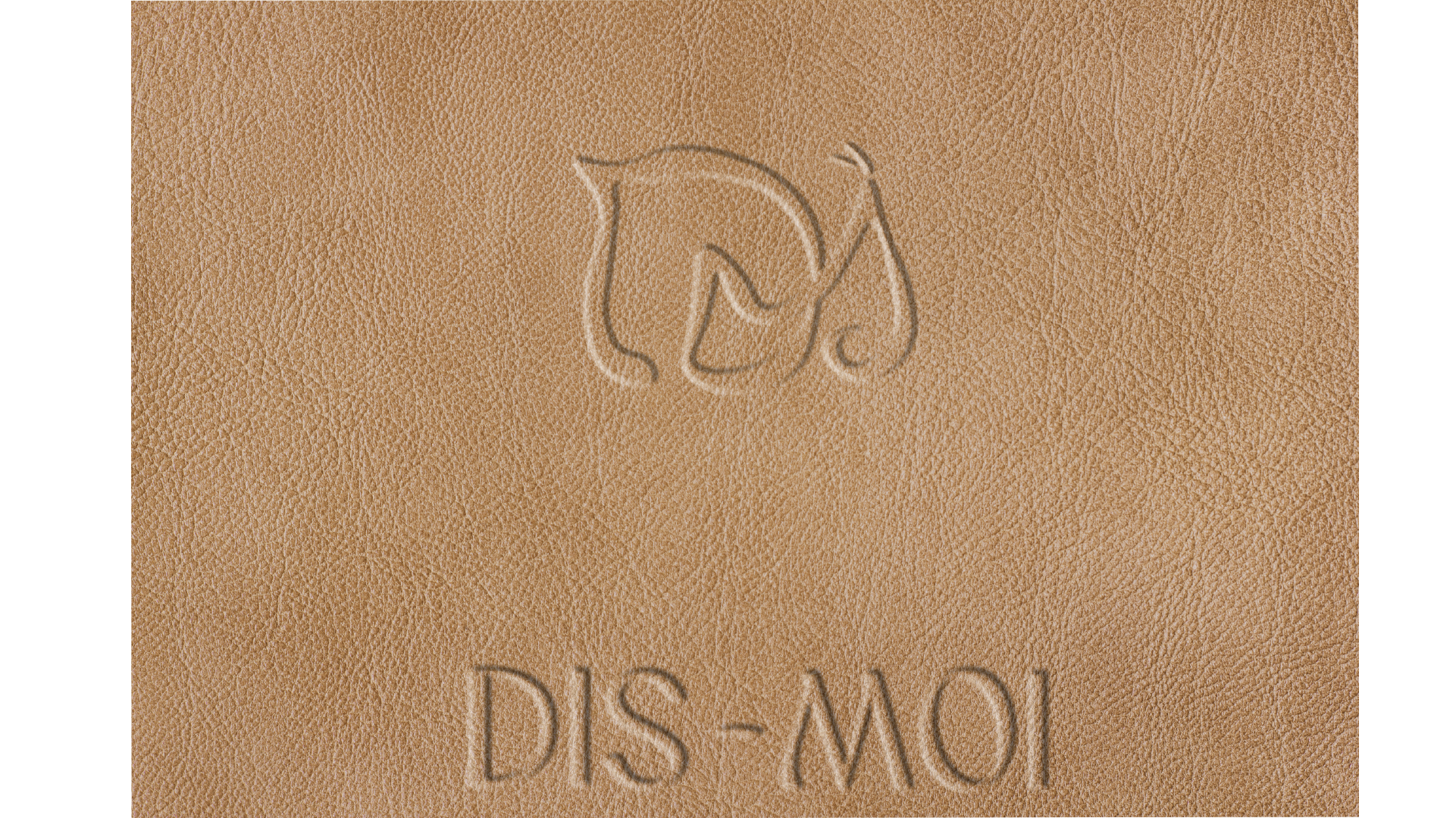 Dis-Moi_McCarthy-10.png