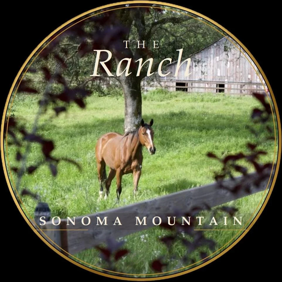 A logo featuring a scenic farm scene with a horse standing on green grass under a tree, a weathered wooden barn in the background, and the text 'The Ranch' at the top and 'Sonoma Mountain' at the bottom, all enclosed in a circular border.