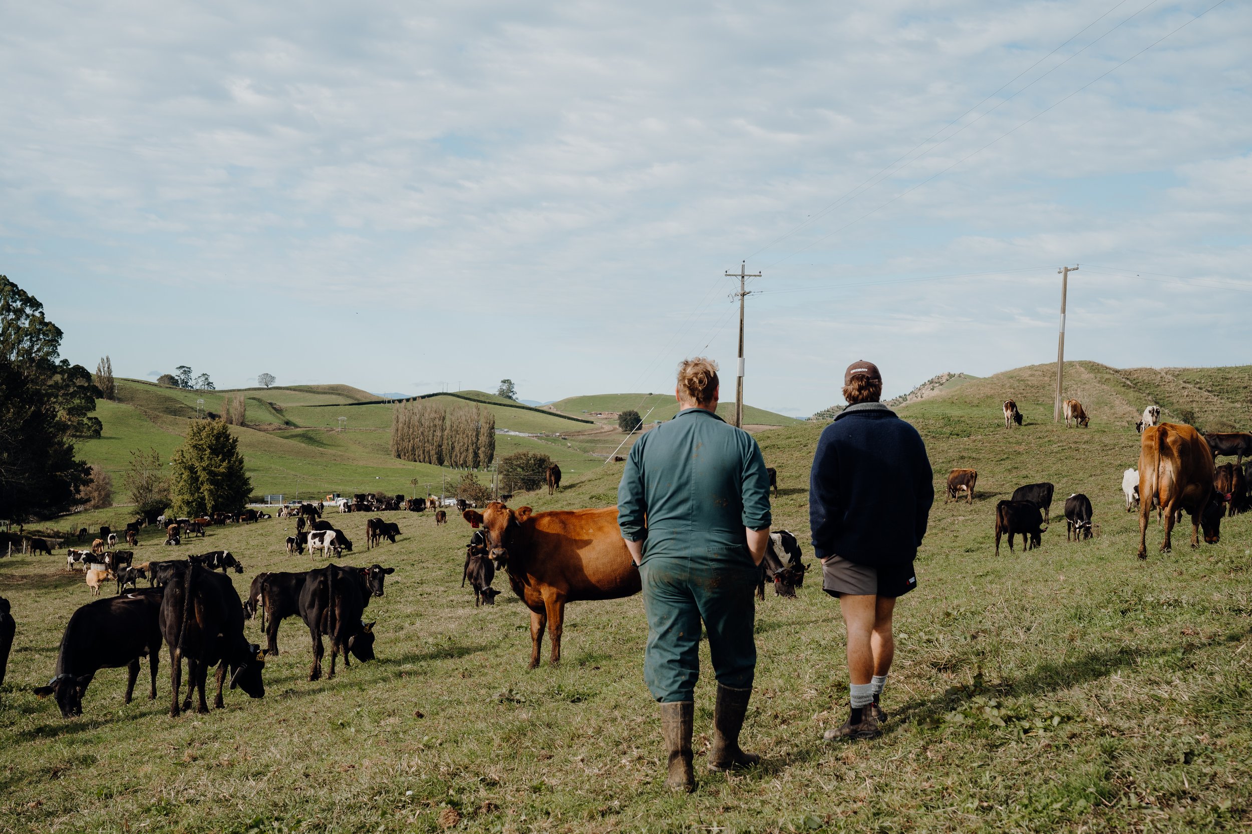 Getting your farm ready before calving season