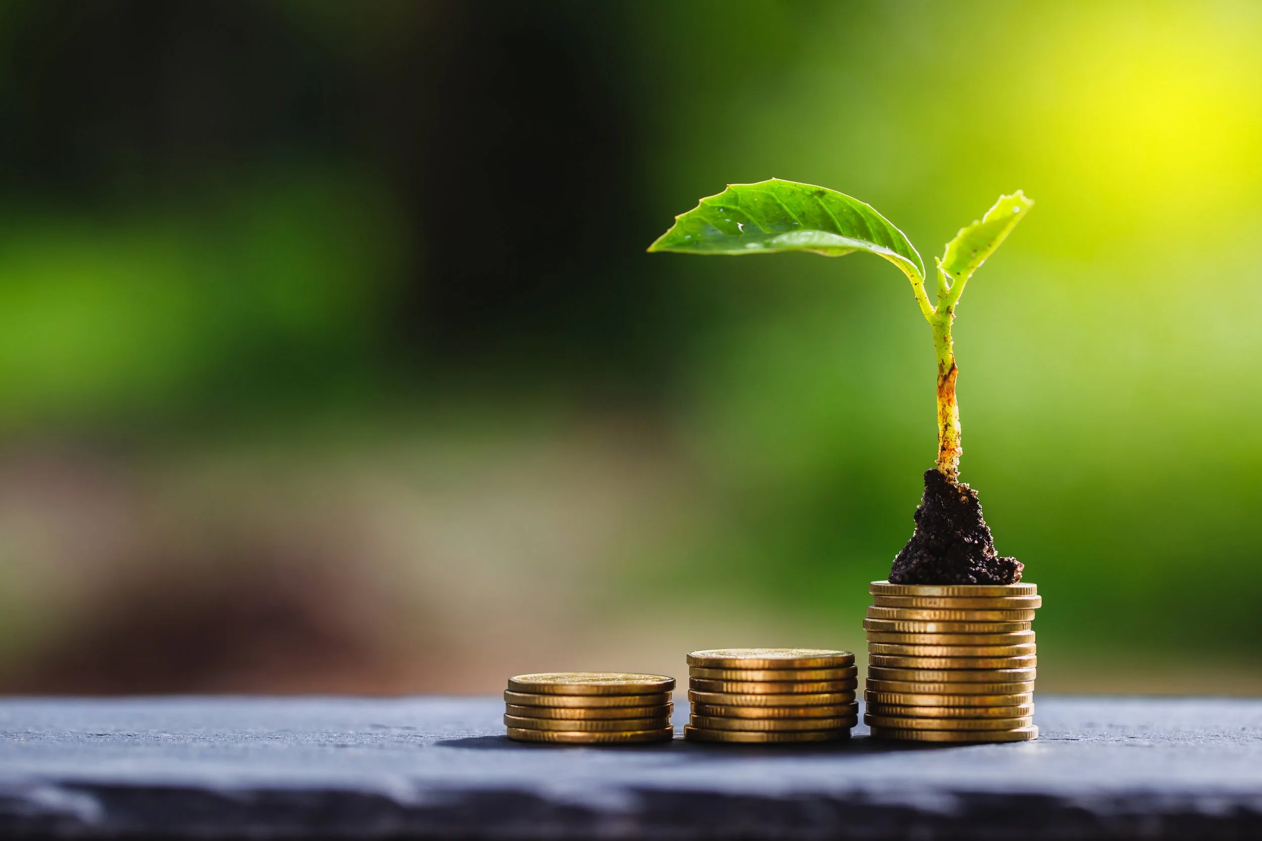 Effective Giving and the "Shallow Pond"