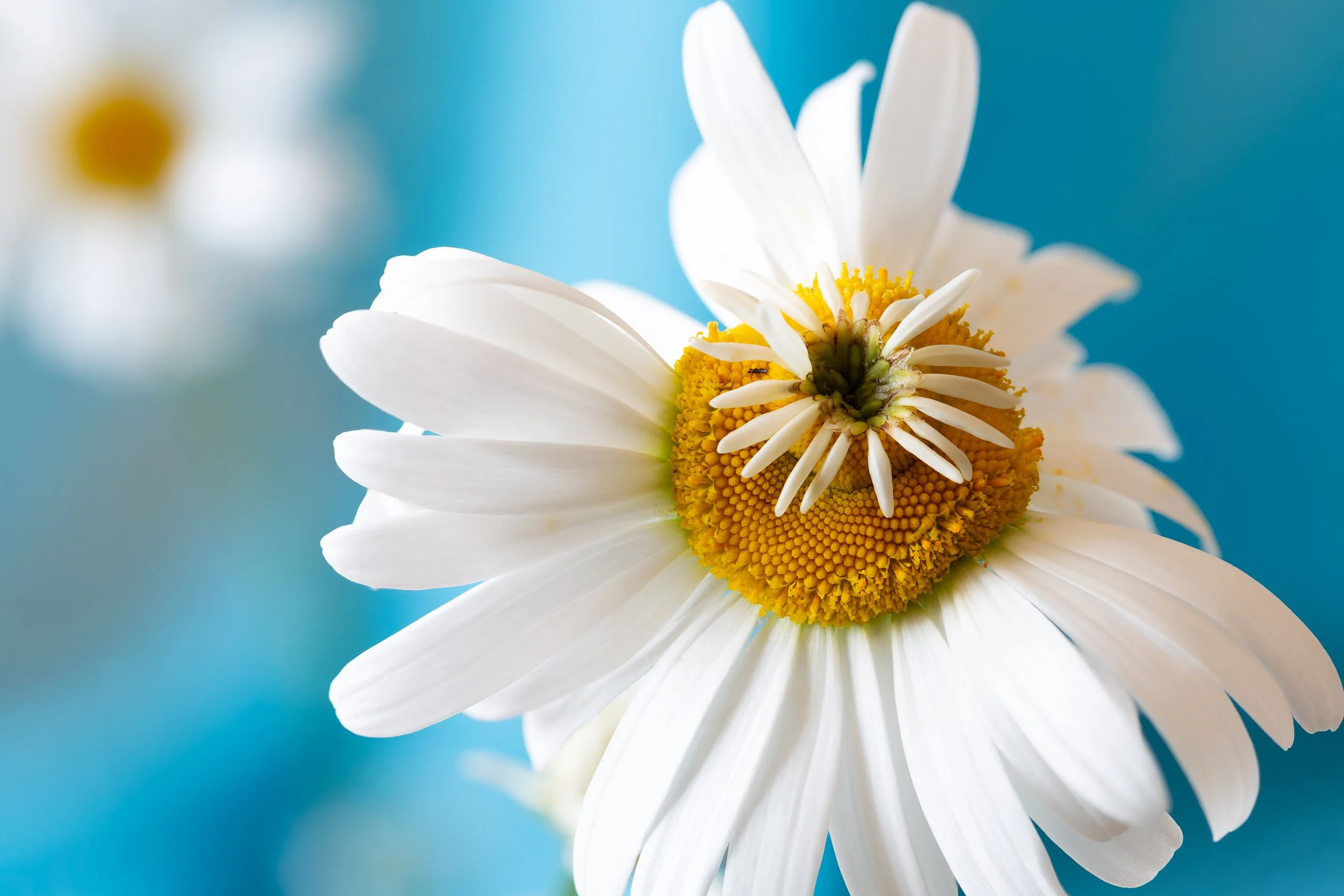 How To Embrace Imperfection