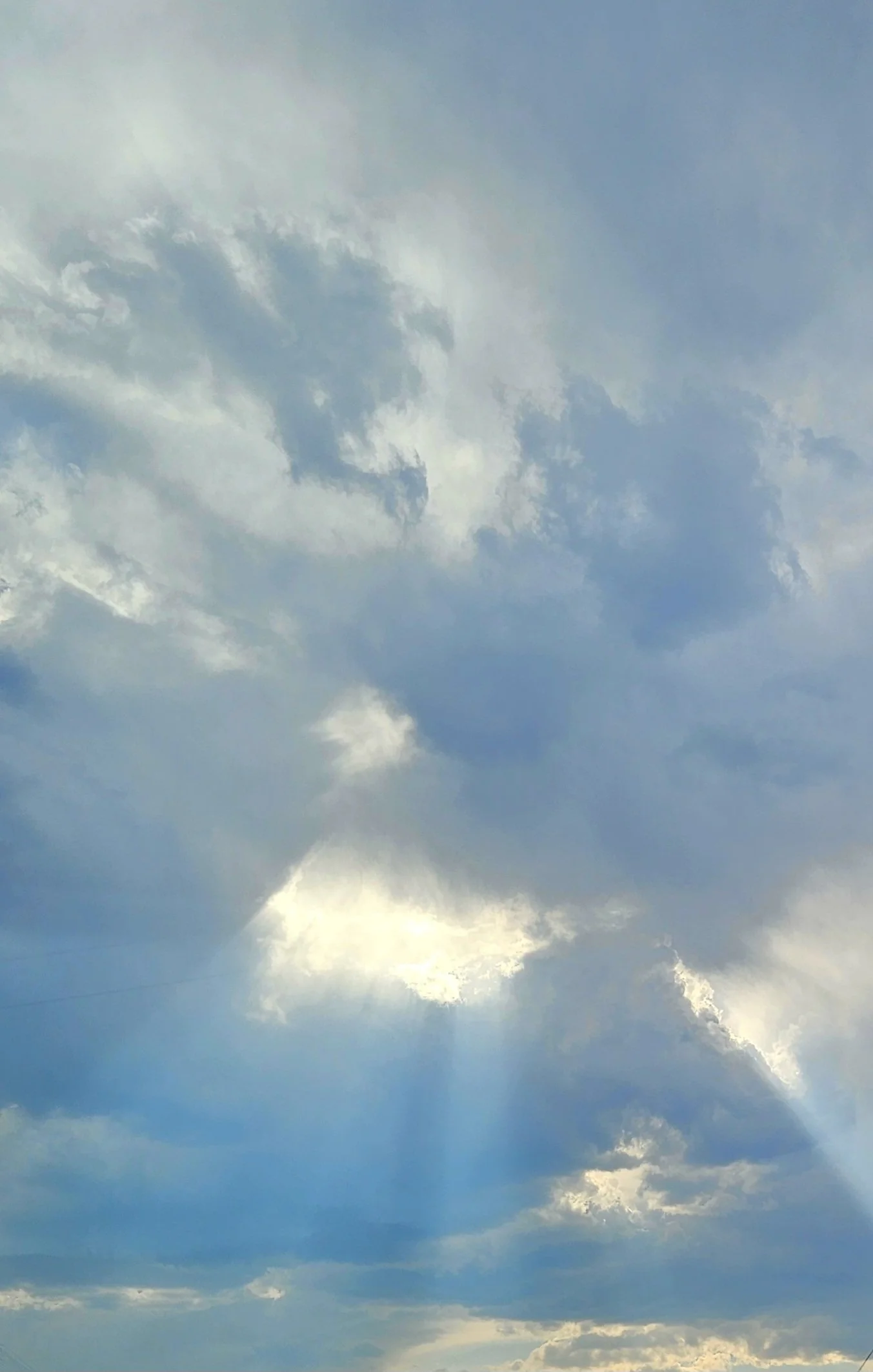 20260808_182407.jpg