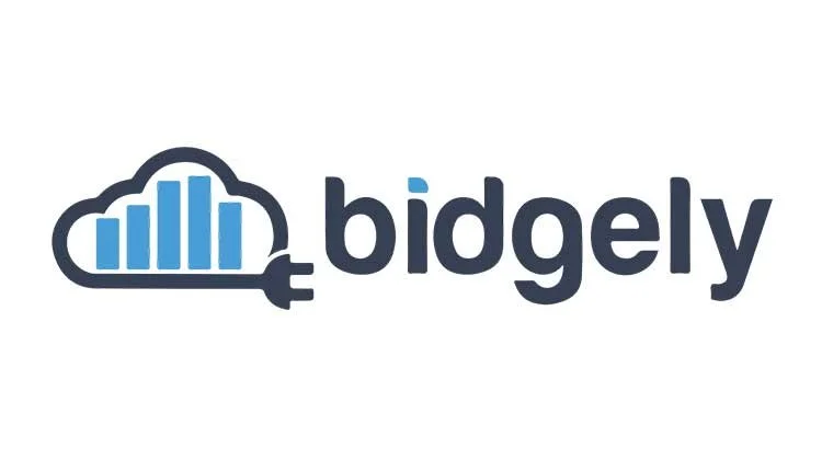 Bidgely Logo